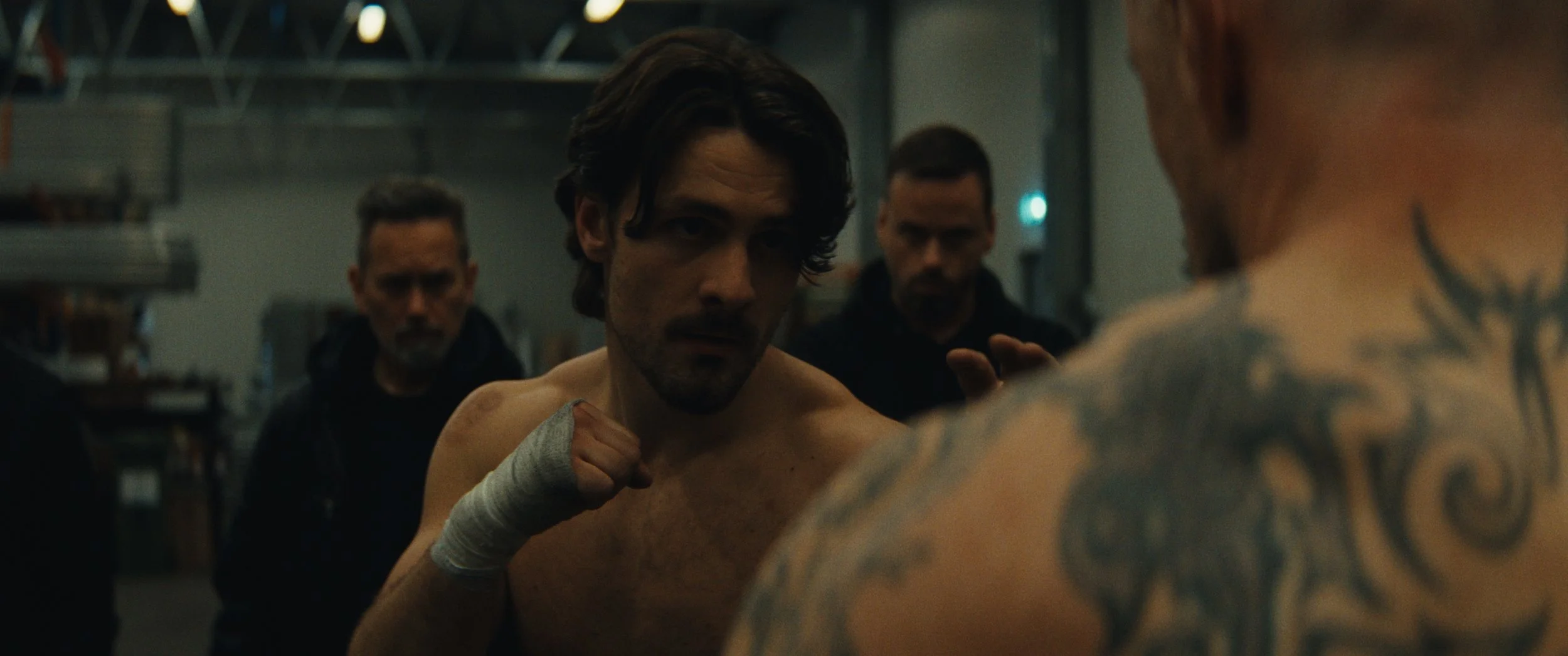 Still 2025-11-24 162953_1.41.1.jpg