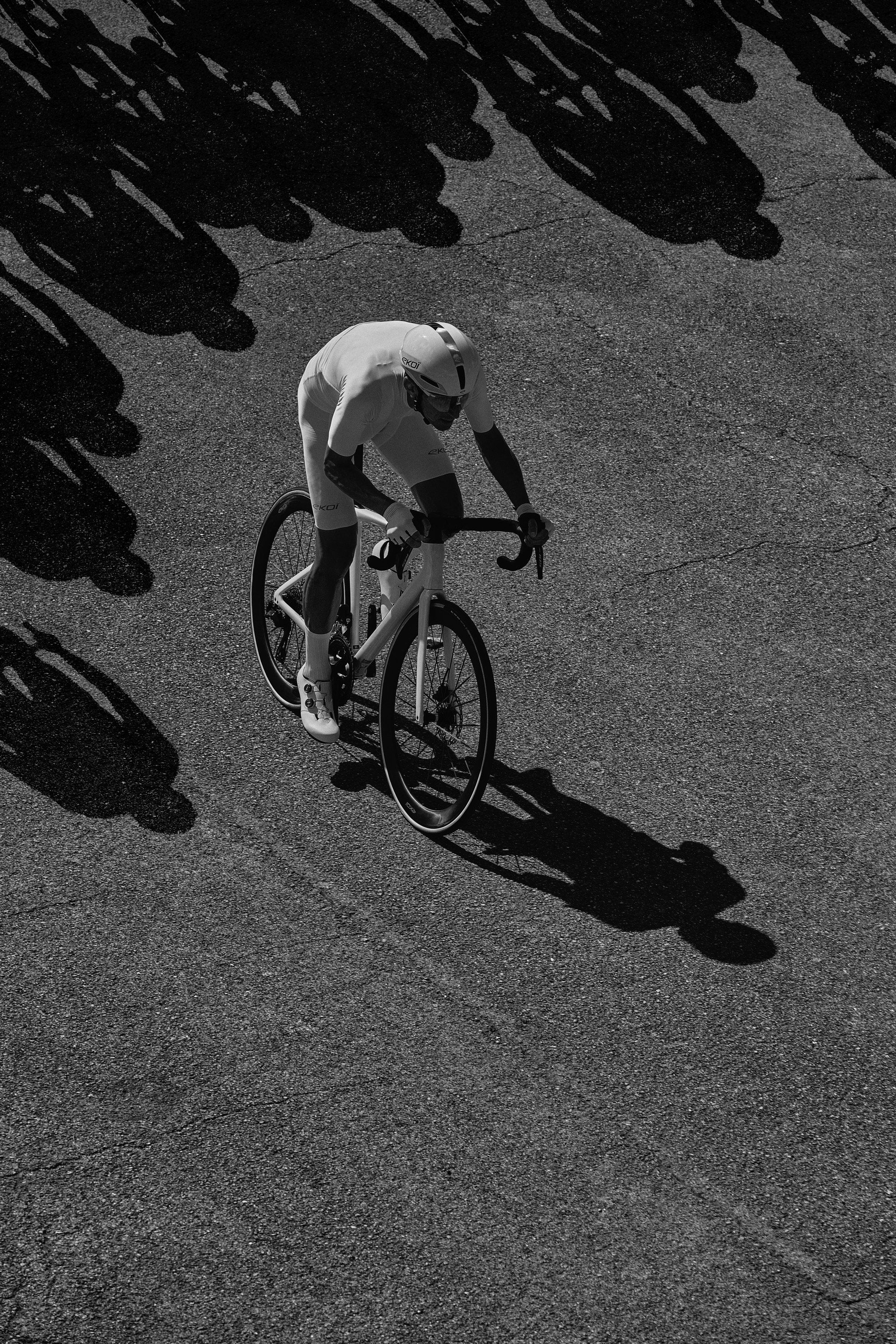 EKOÏ Defy the Norm