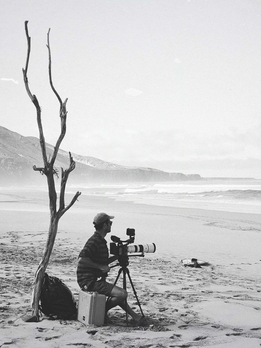 A person sitting on the beach with a camera on a tripod, a backpack, and a suitcase, near a leafless tree, with ocean waves and distant hills in the background.