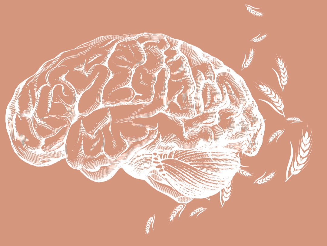 Illustration d'un cerveau humain en blanc sur un fond beige avec quelques épis de blé autour.