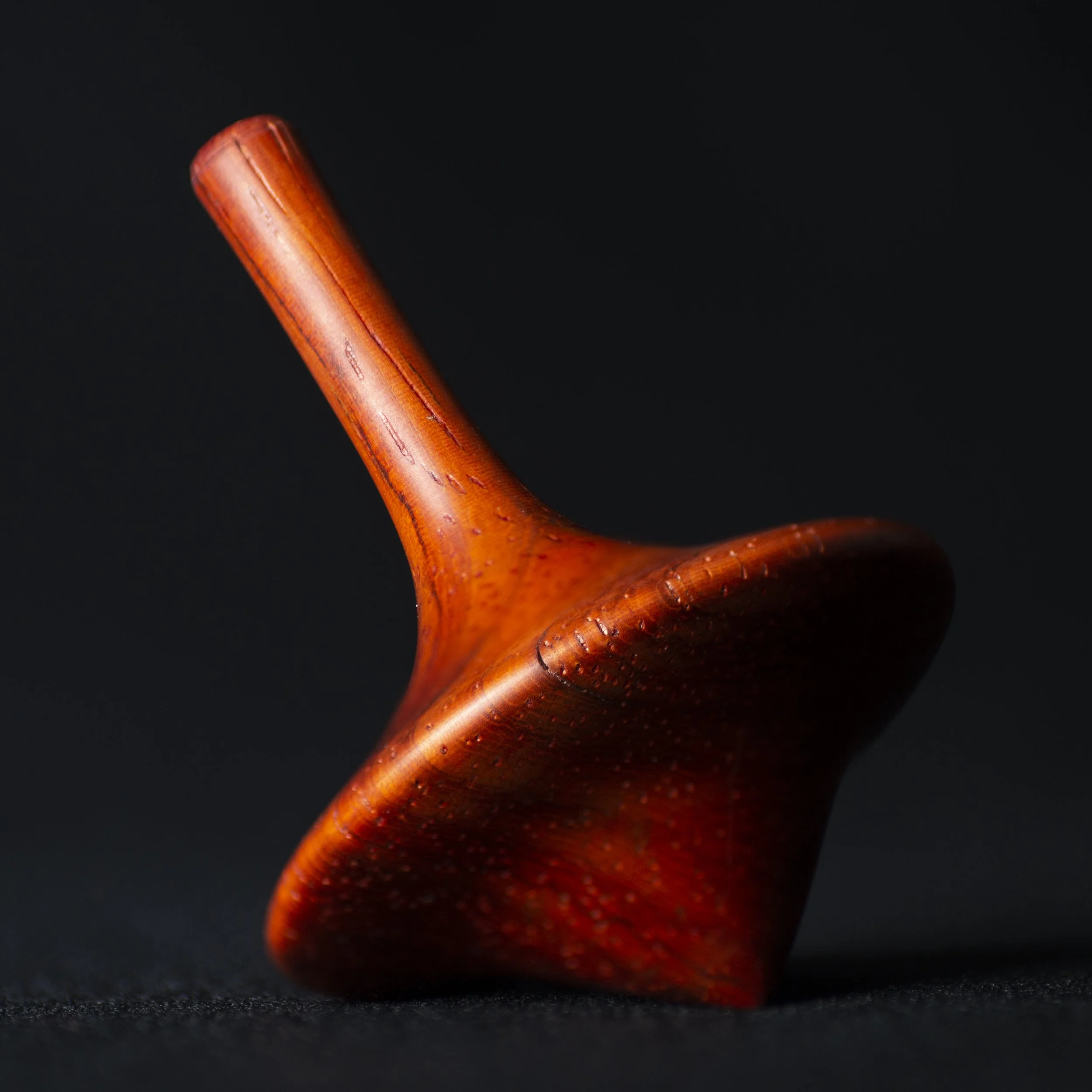 Padauk top focus stacked- P1040563.jpg