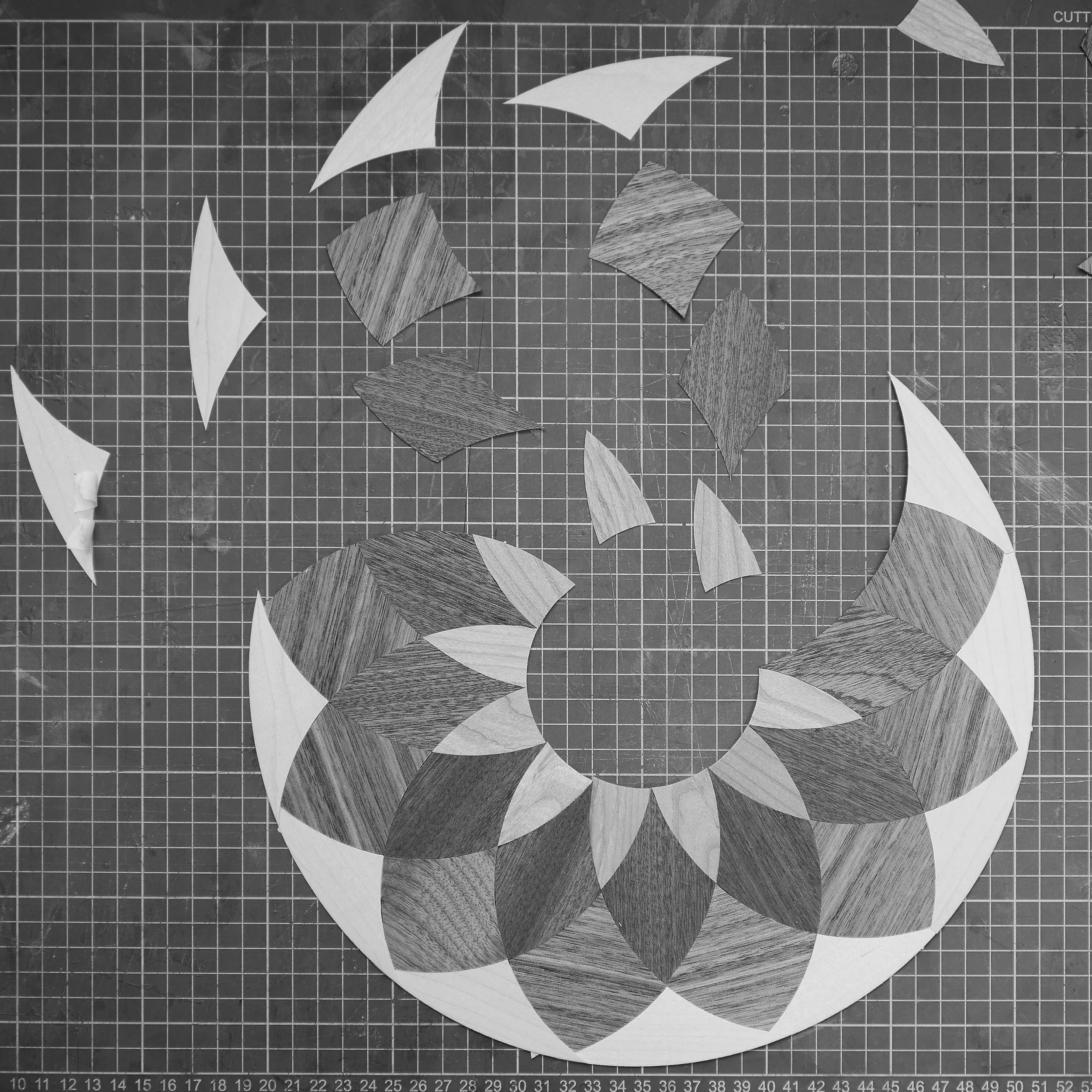 05-Veneer assembly B+W- P1050767.jpg