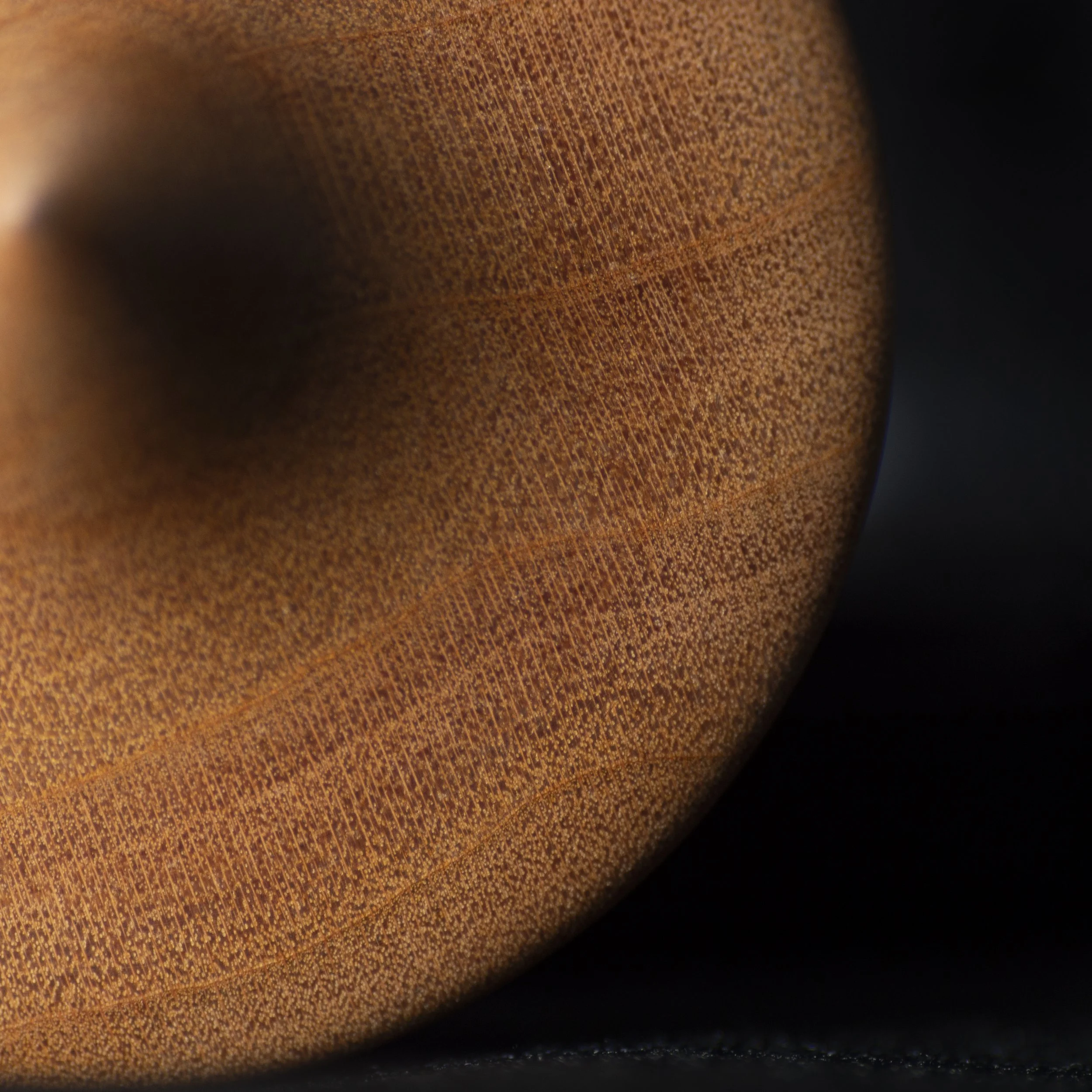 Cherry top base zoom- P1040545.jpg