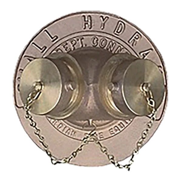 Fire Department Projecting Wall Hydrants