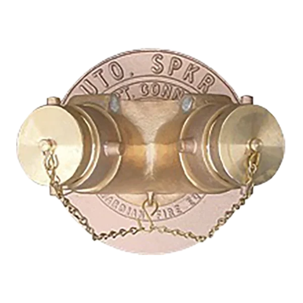 Fire Department Two Way Projecting Inlet Connections