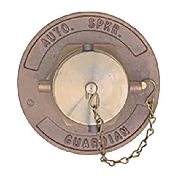 Fire Department Single Inlet Connections