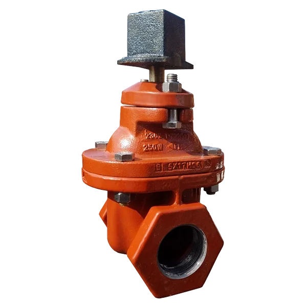 RW Gate Vavle THD X THD.webp