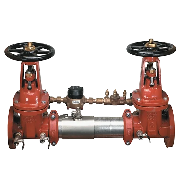 Double Check Detector Backflow.webp