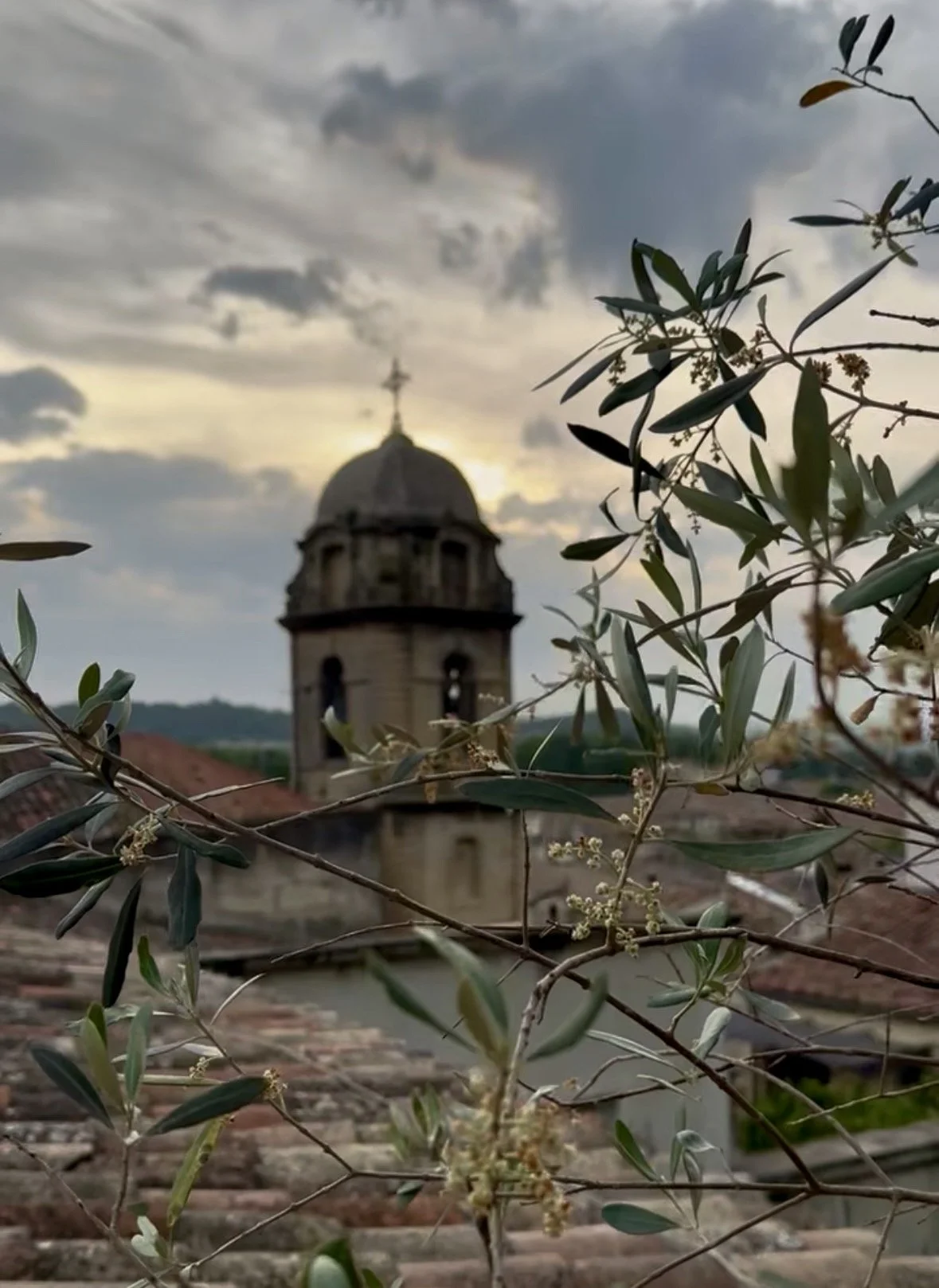 Pausen er ikke en luksus - det er en forudsætning for et sundt arbejdsliv.