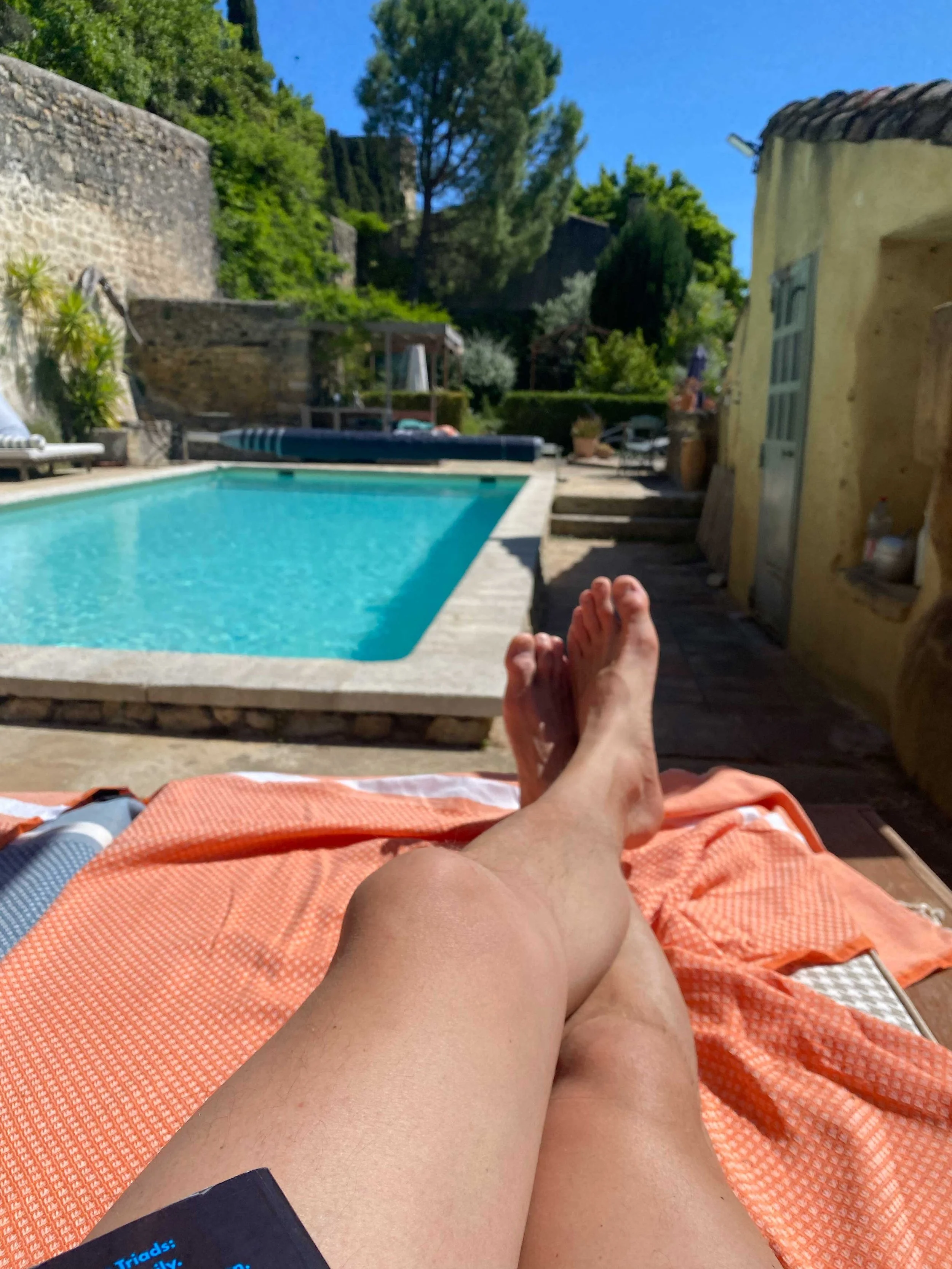 Person relaxing on a lounge chair beside a swimming pool with lush green trees and a blue sky in the background.