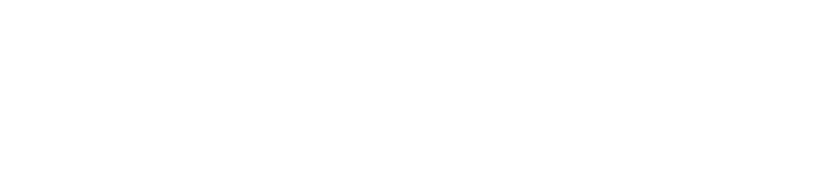 Close-up of the word 'LEVI'S' in black text with a white background.