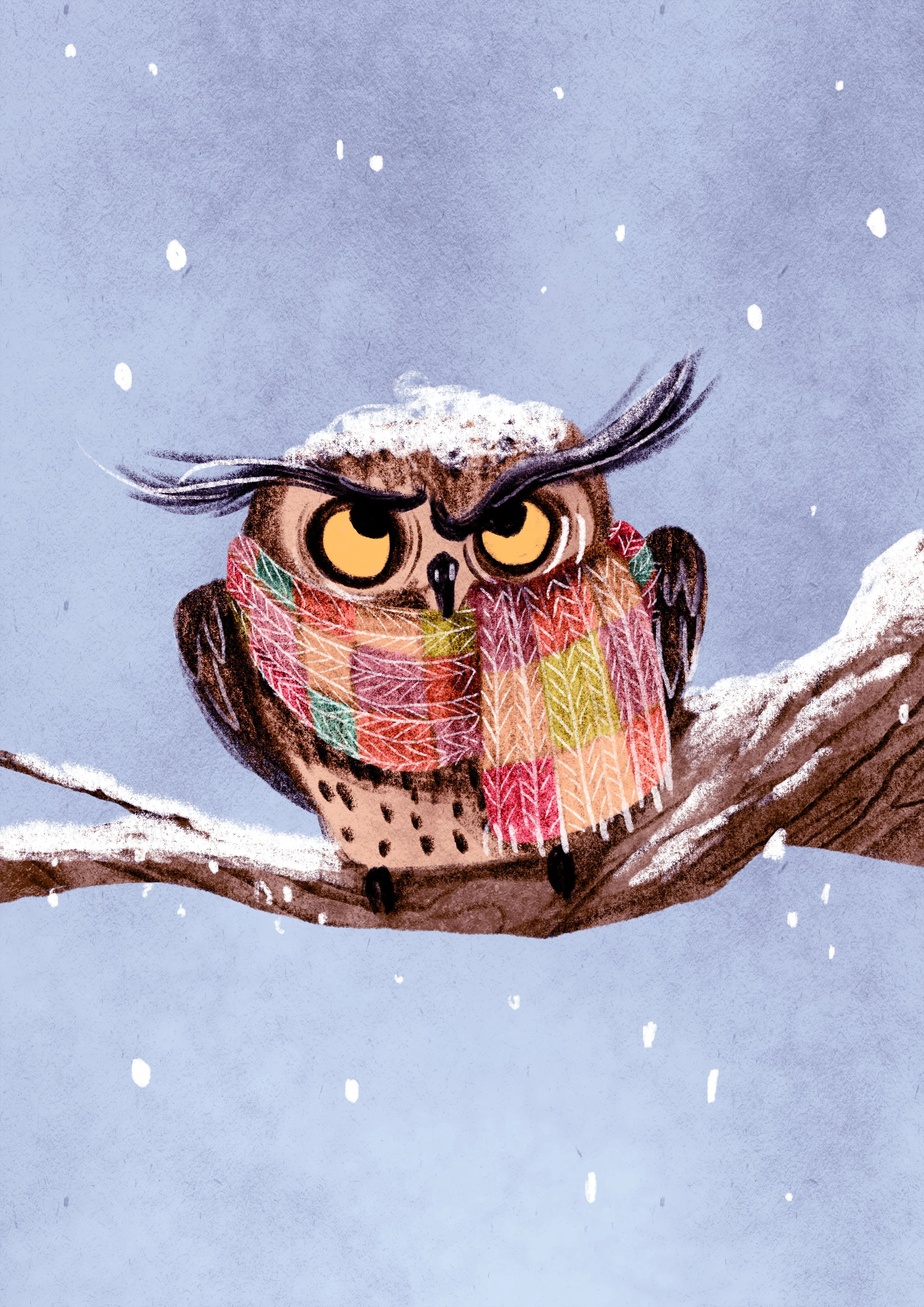Do_I_Look_Like_A_Snow_Owl_To_You.jpg