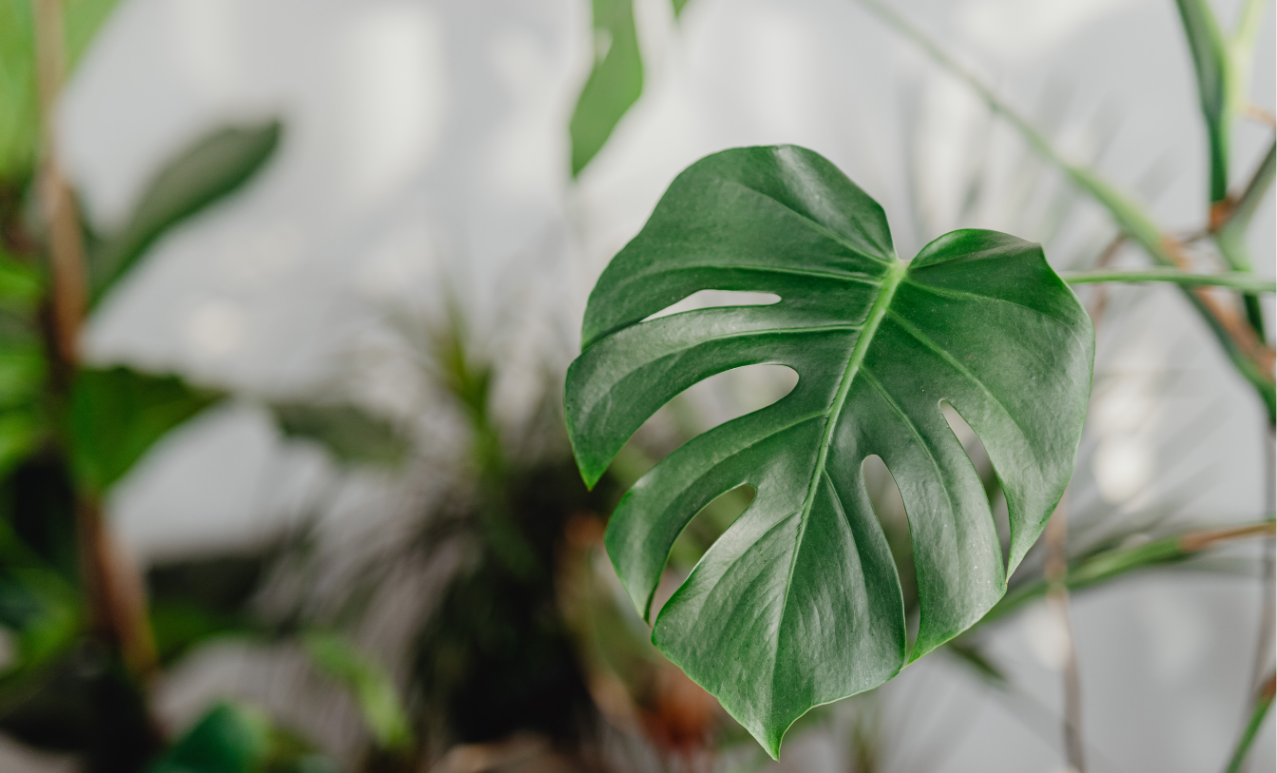 Therapy for high functioning anxiety supporting adults who appear coping on the outside but feel overwhelmed internally