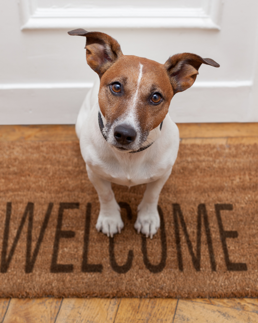 Debunking the Credit Score Myth for Homebuyers