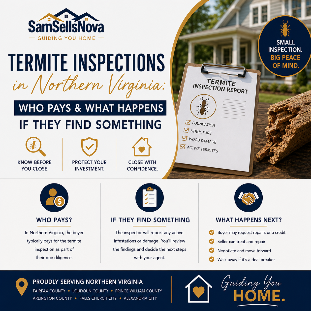 Termite Inspections in Northern Virginia: Who Pays &amp; What Happens If They Find Something