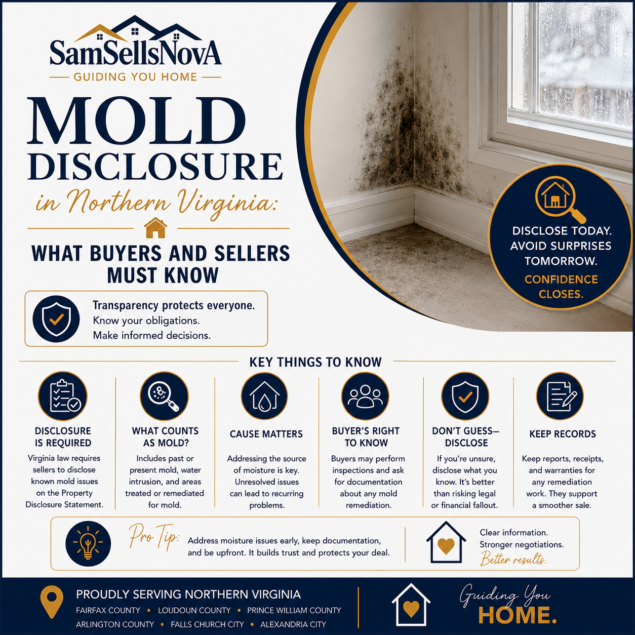 Mold Disclosure in Northern Virginia: What Buyers and Sellers Must Know