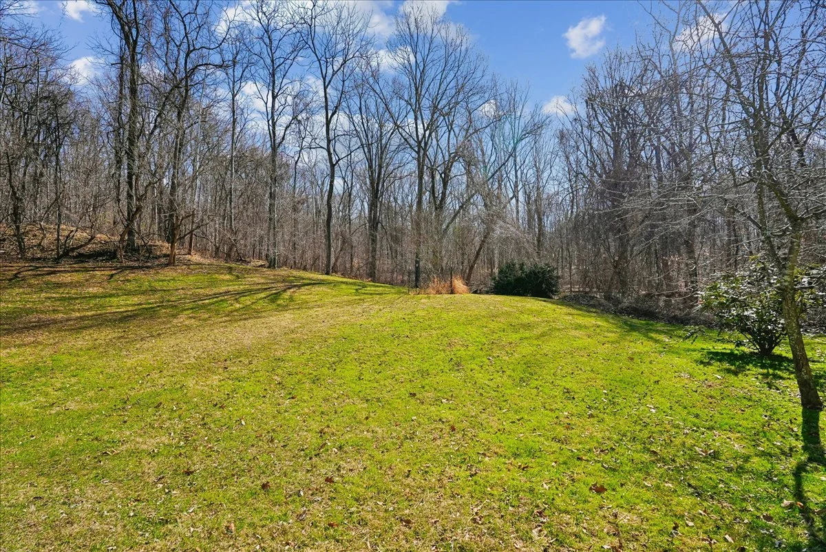 08-samantha-bard-13064-furnace-mountain-rd-rear-yard-rolling-lawn-lovettsville-va-20180.jpg