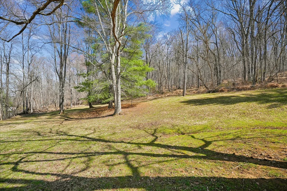06-samantha-bard-13064-furnace-mountain-rd-large-yard-mature-trees-lovettsville-va-20180.jpg