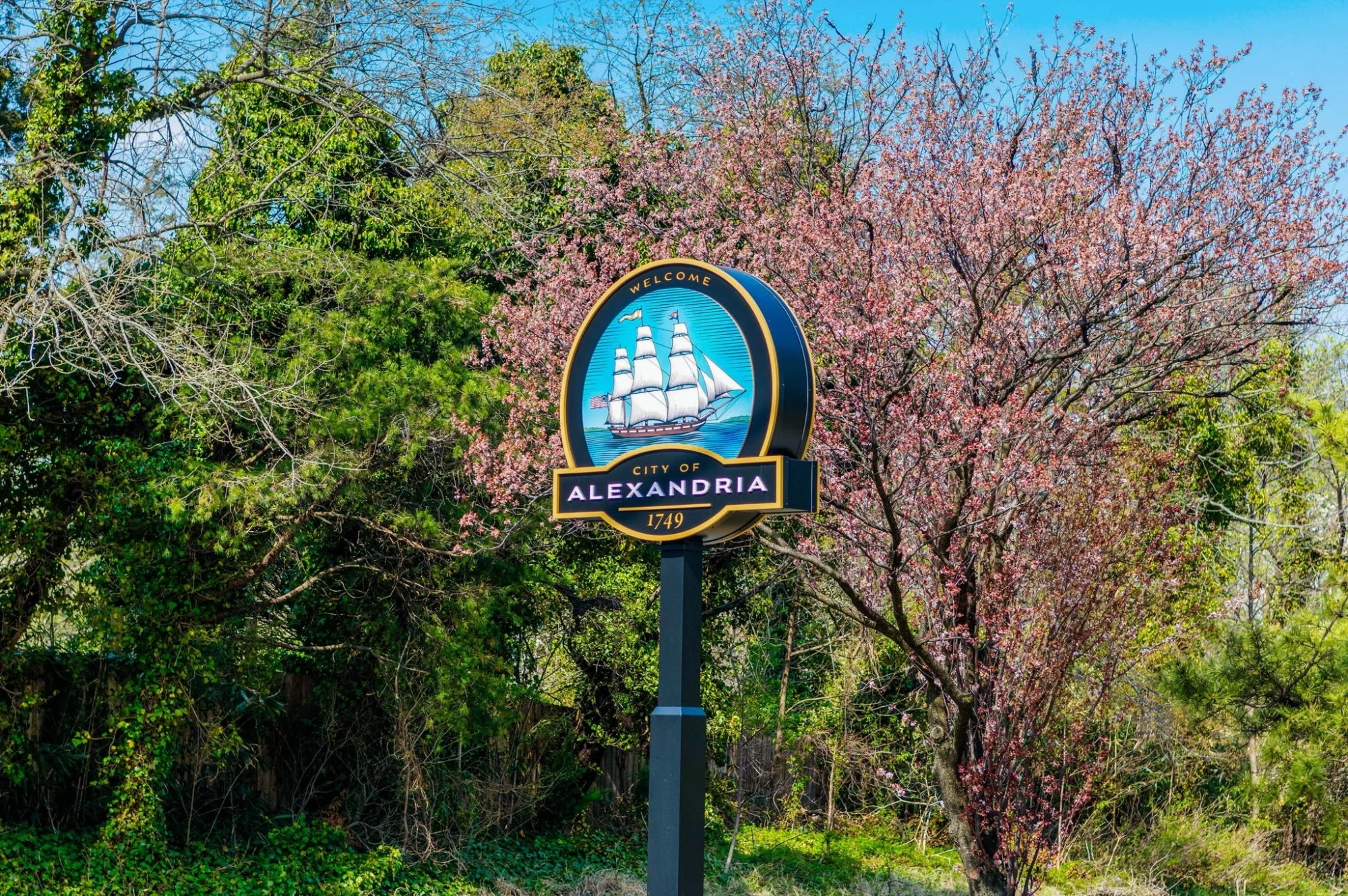 03-samantha-bard-home-for-sale-301-n-beauregard-st-unit-902-alexandria-welcome-sign-va-22312.jpg