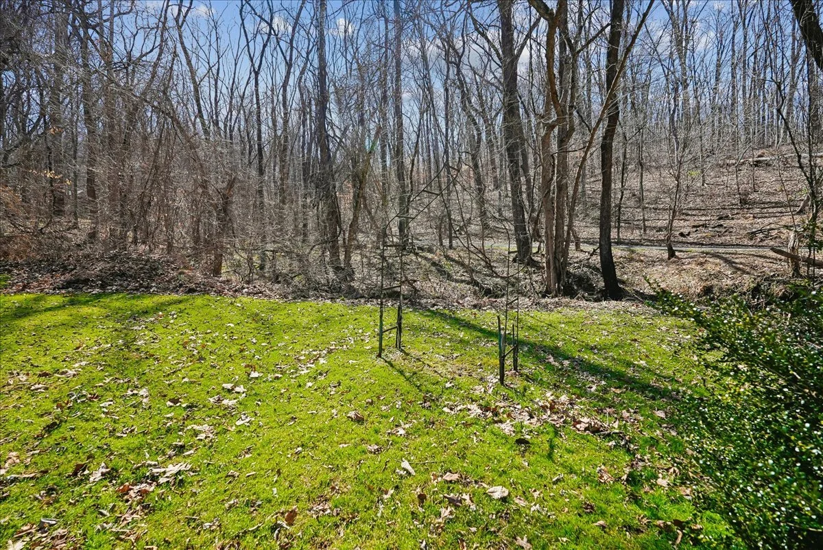 09-samantha-bard-13064-furnace-mountain-rd-rear-yard-creek-lovettsville-va-20180.jpg