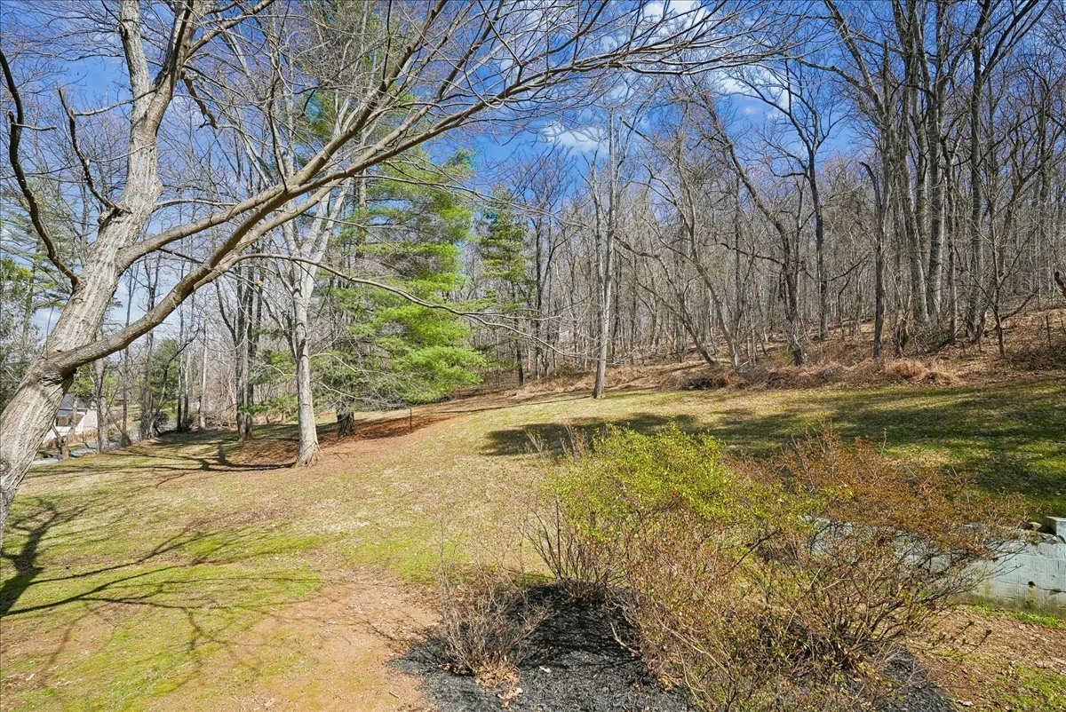 05-samantha-bard-13064-furnace-mountain-rd-yard-wooded-hillside-lovettsville-va-20180.jpg
