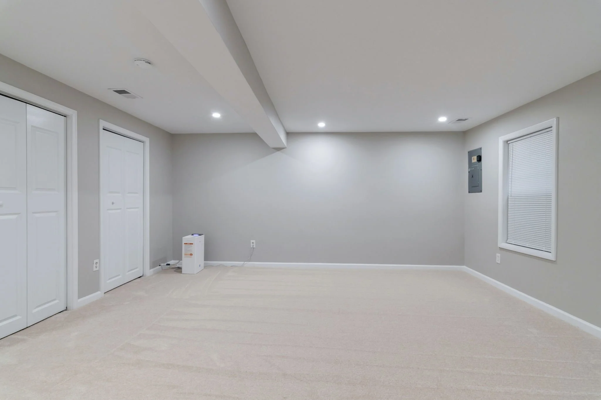 44-samantha-bard-4445-holly-ave-basement-bonus-room-closets-fairfax-va-22030.jpg