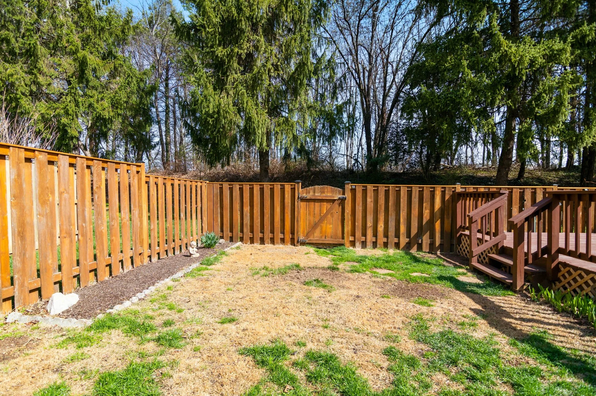 09-samantha-bard-4445-holly-ave-backyard-fenced-gate-fairfax-va-22030.jpg
