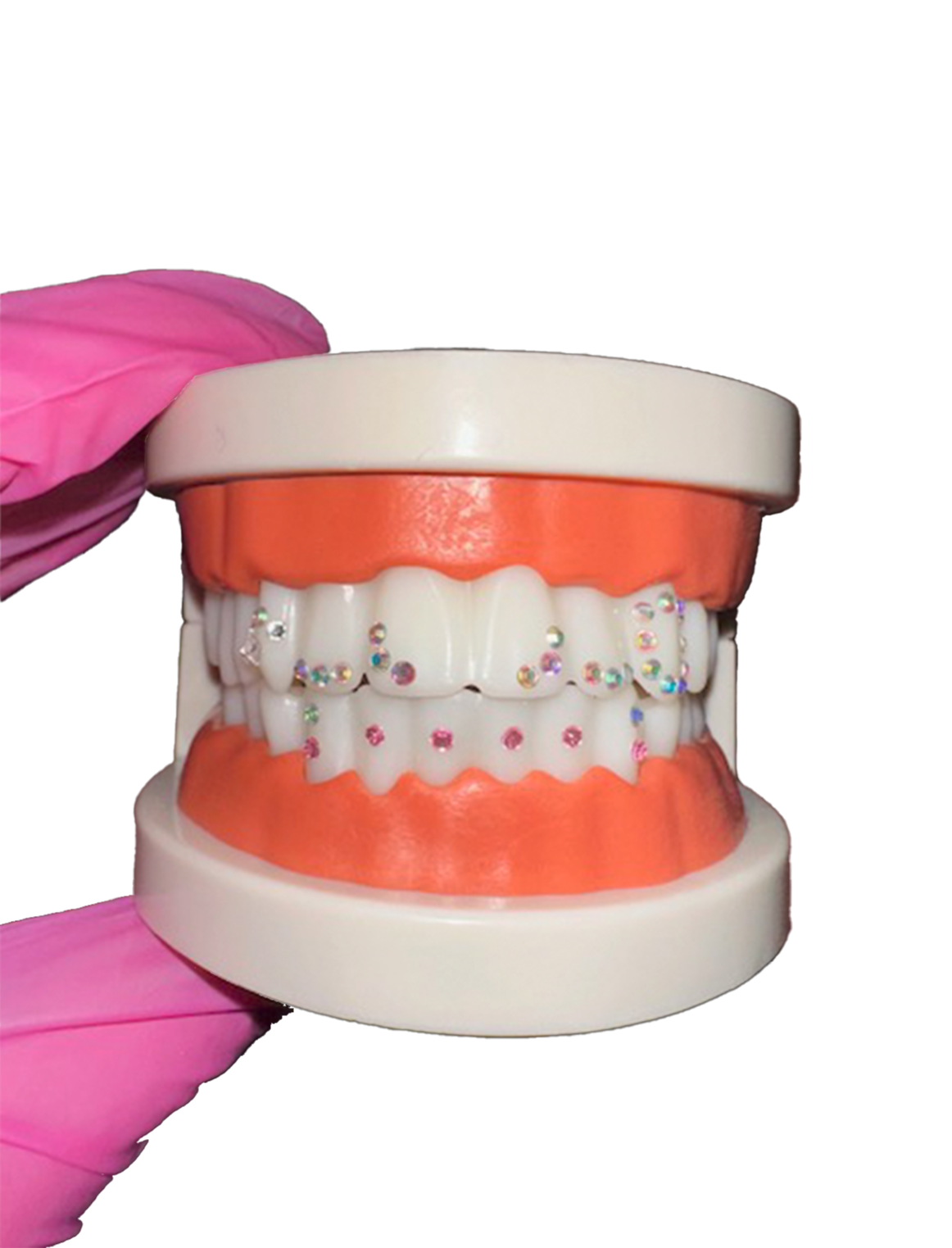 A dental model with pink and orange sections, decorated with multicolored rhinestones on the teeth, and held by a hand wearing a pink glove.