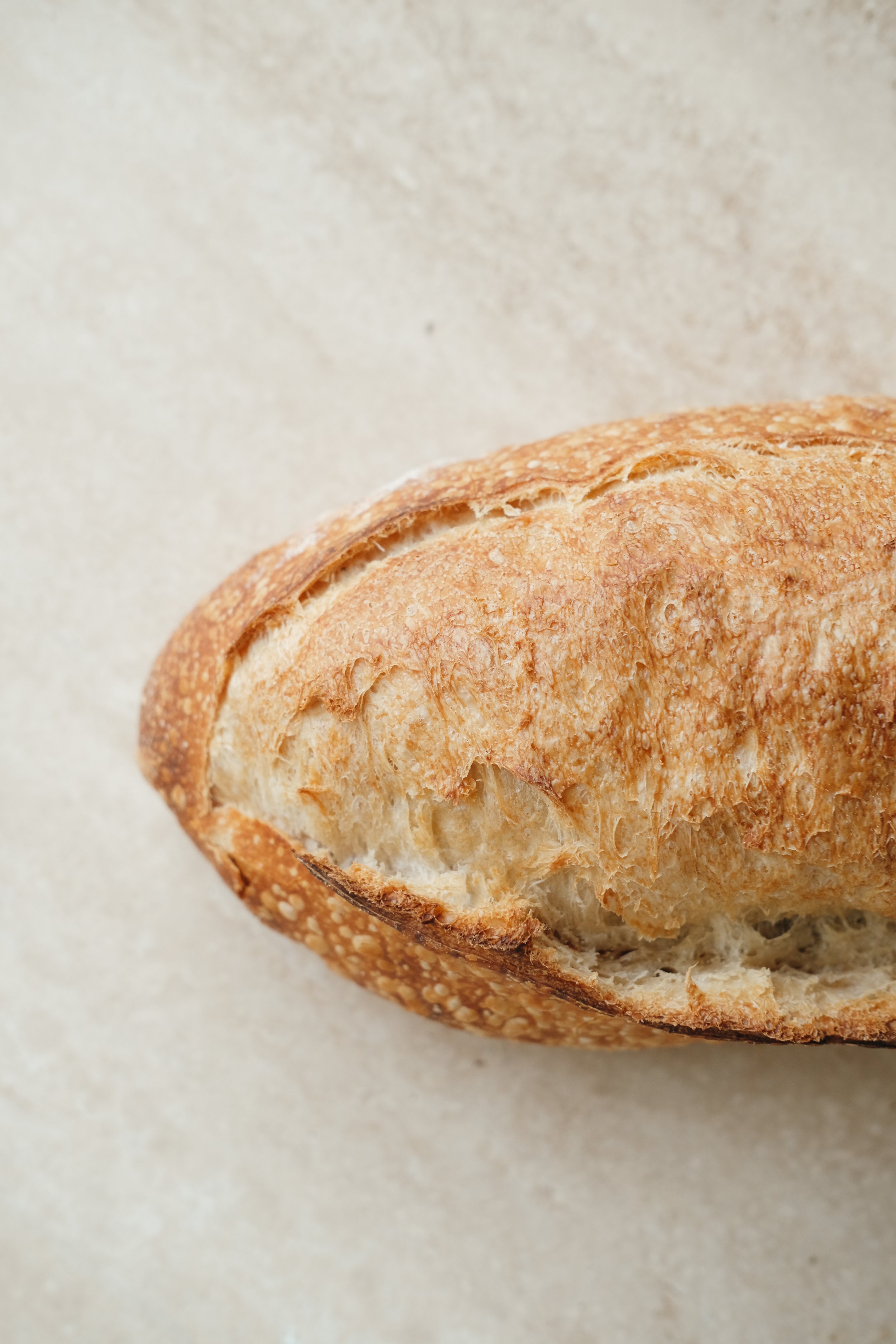 pain de tradition 2.jpg