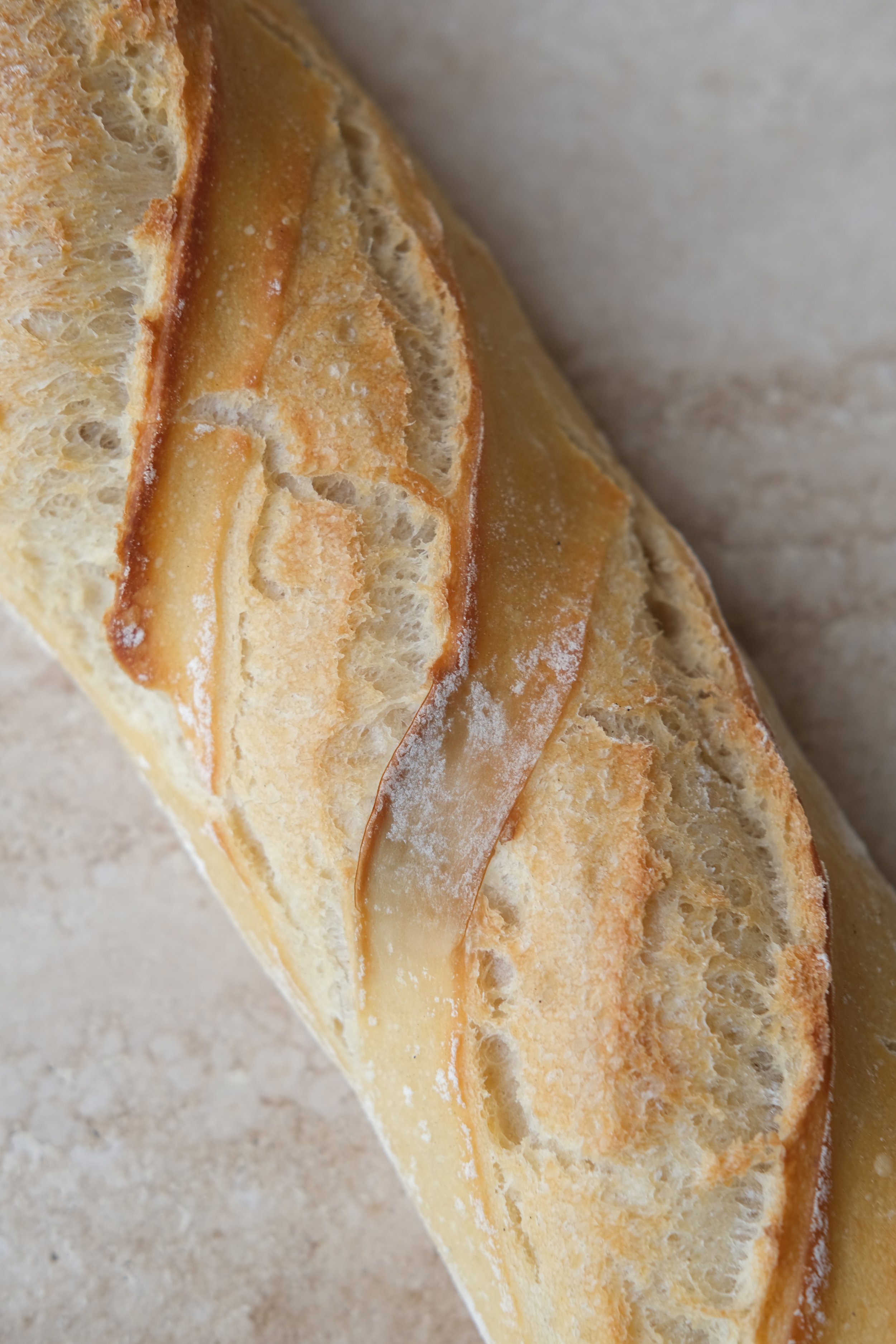 baguette  2.jpg
