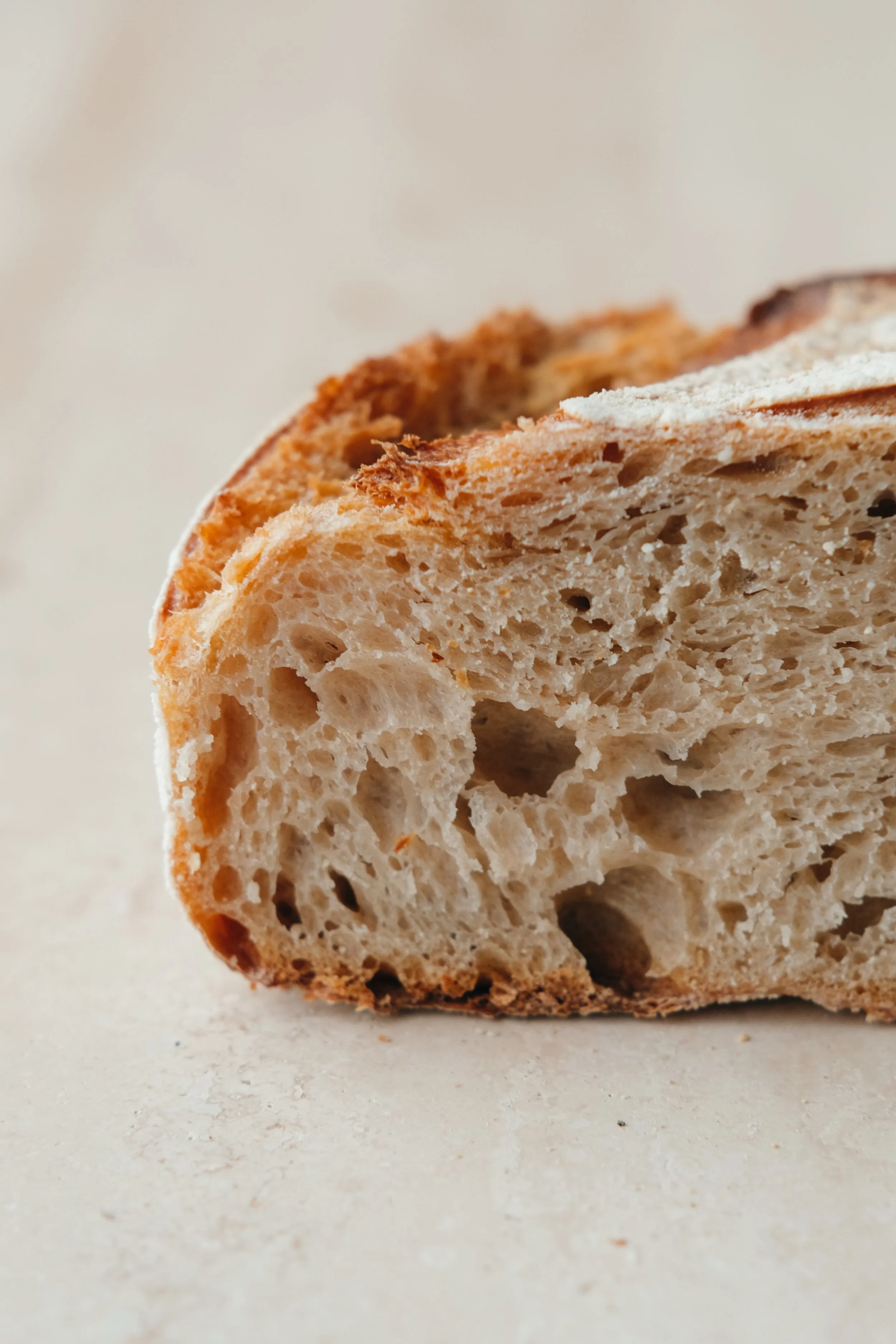 MEULE AU LEVAIN 500 2.jpg