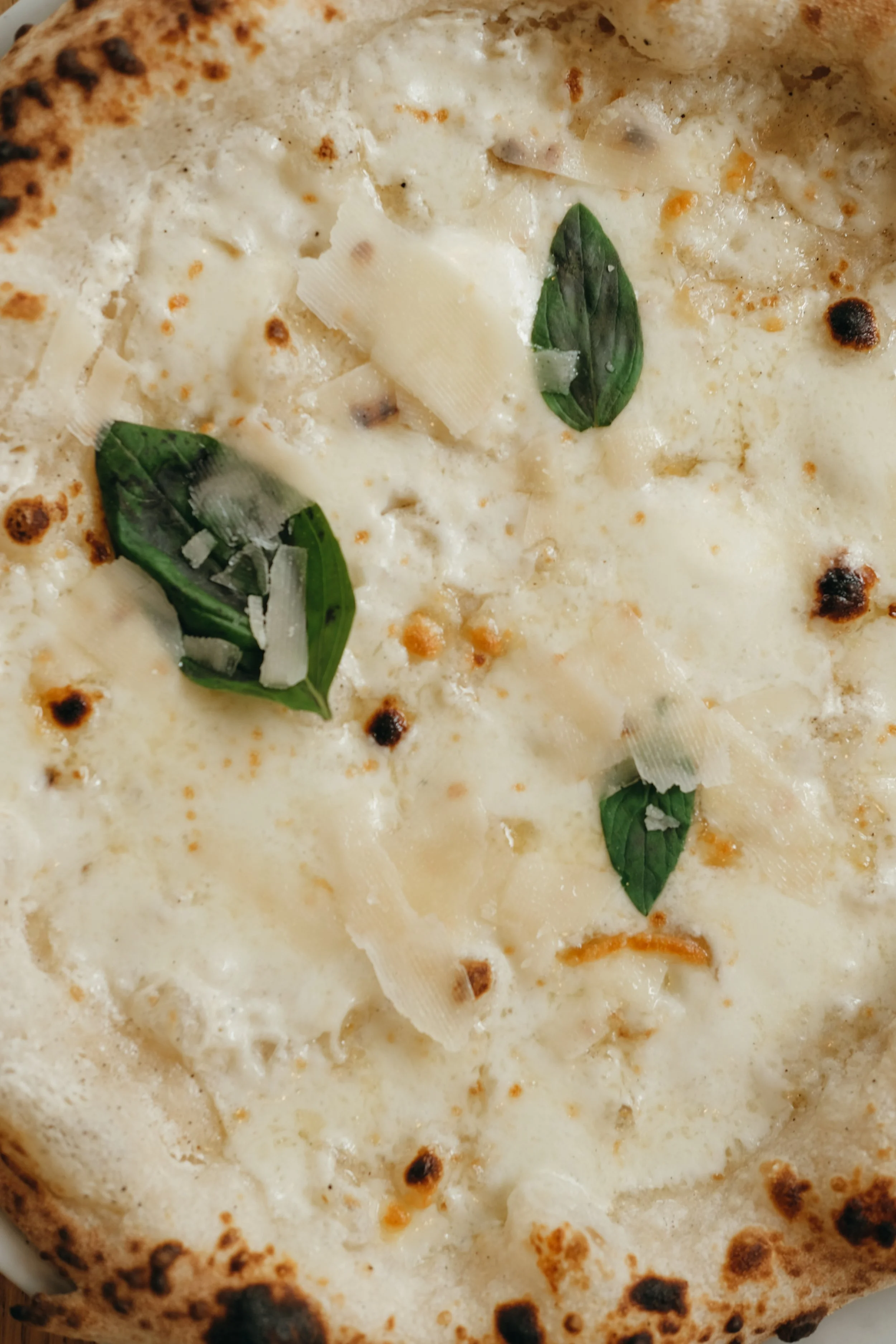 4 fromages 4.JPG