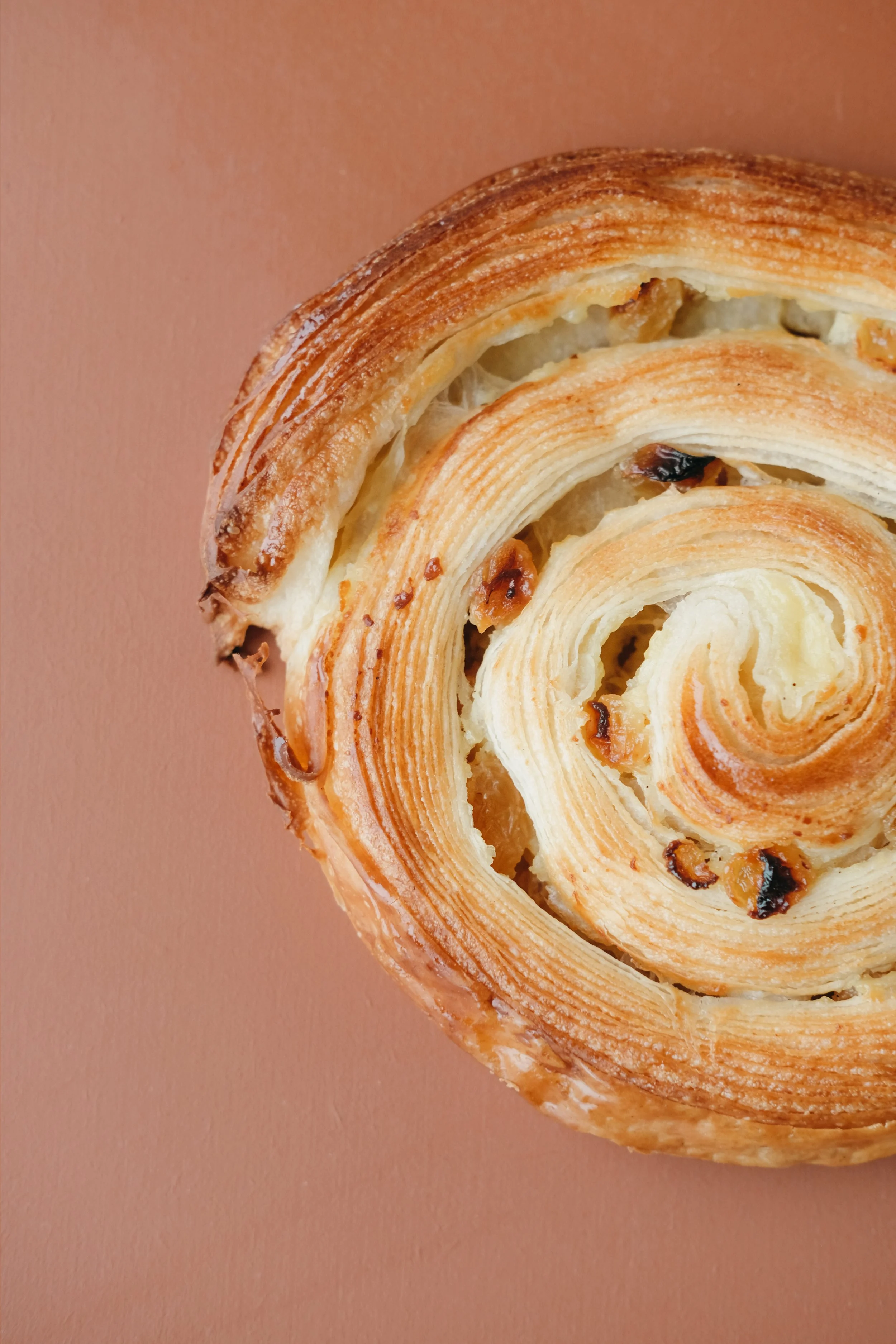 roulé raisin 3.jpg