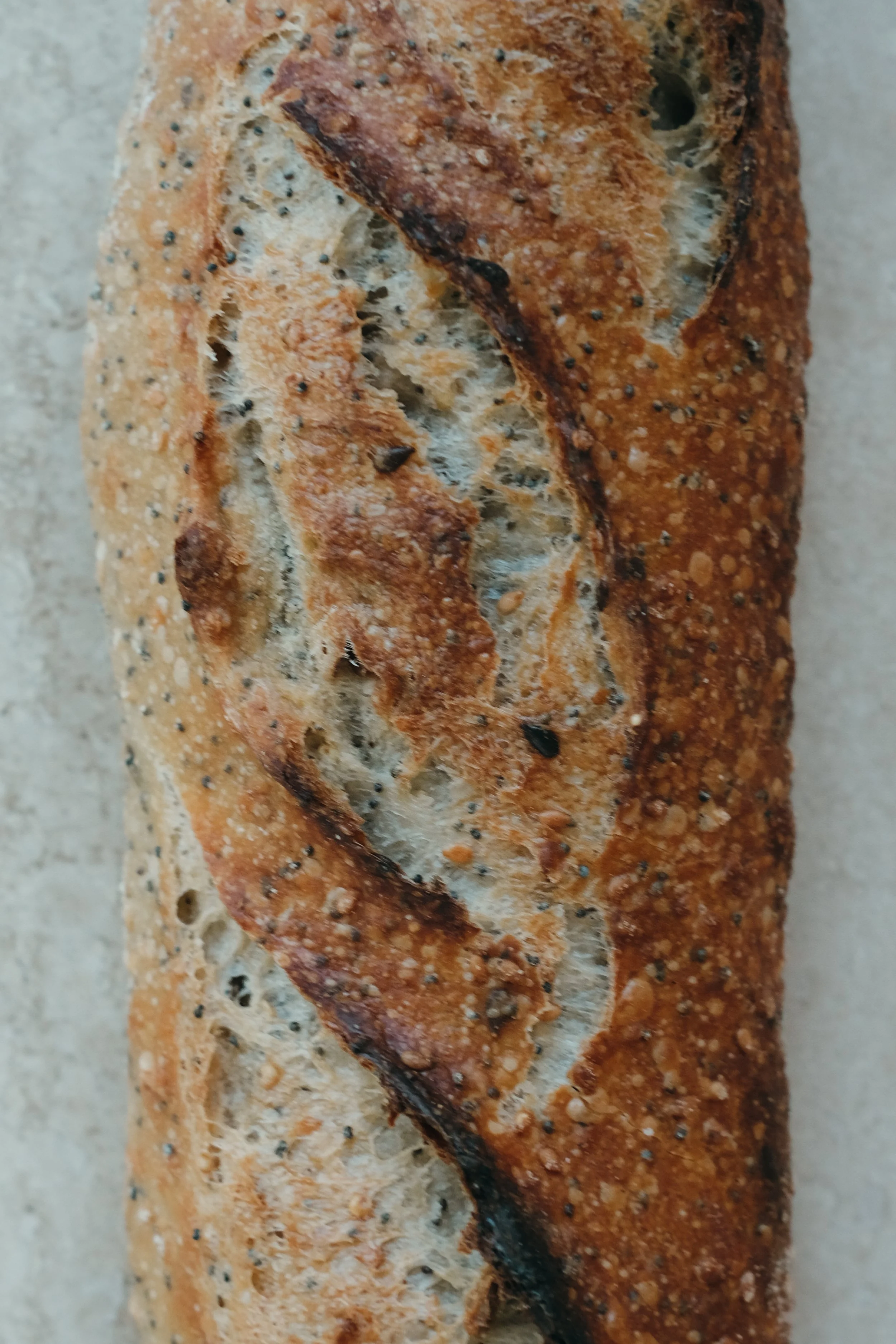 baguette céréales zoom-2.jpg