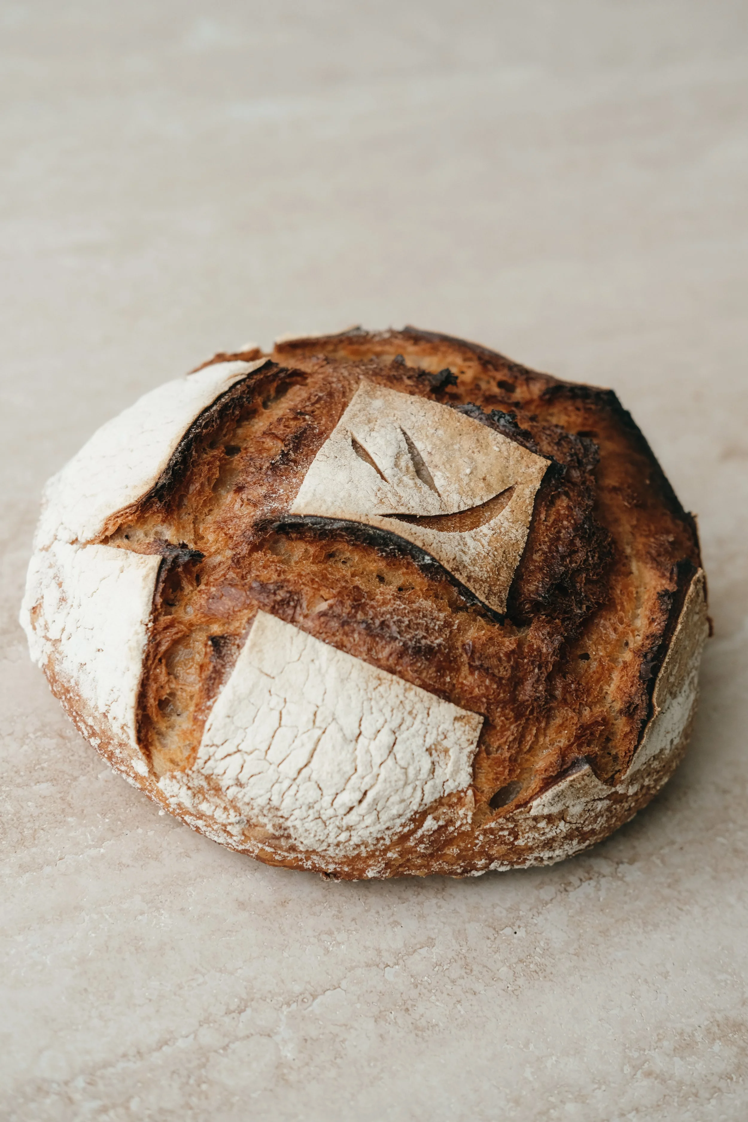 MEULE LEVAIN 500 3.jpg