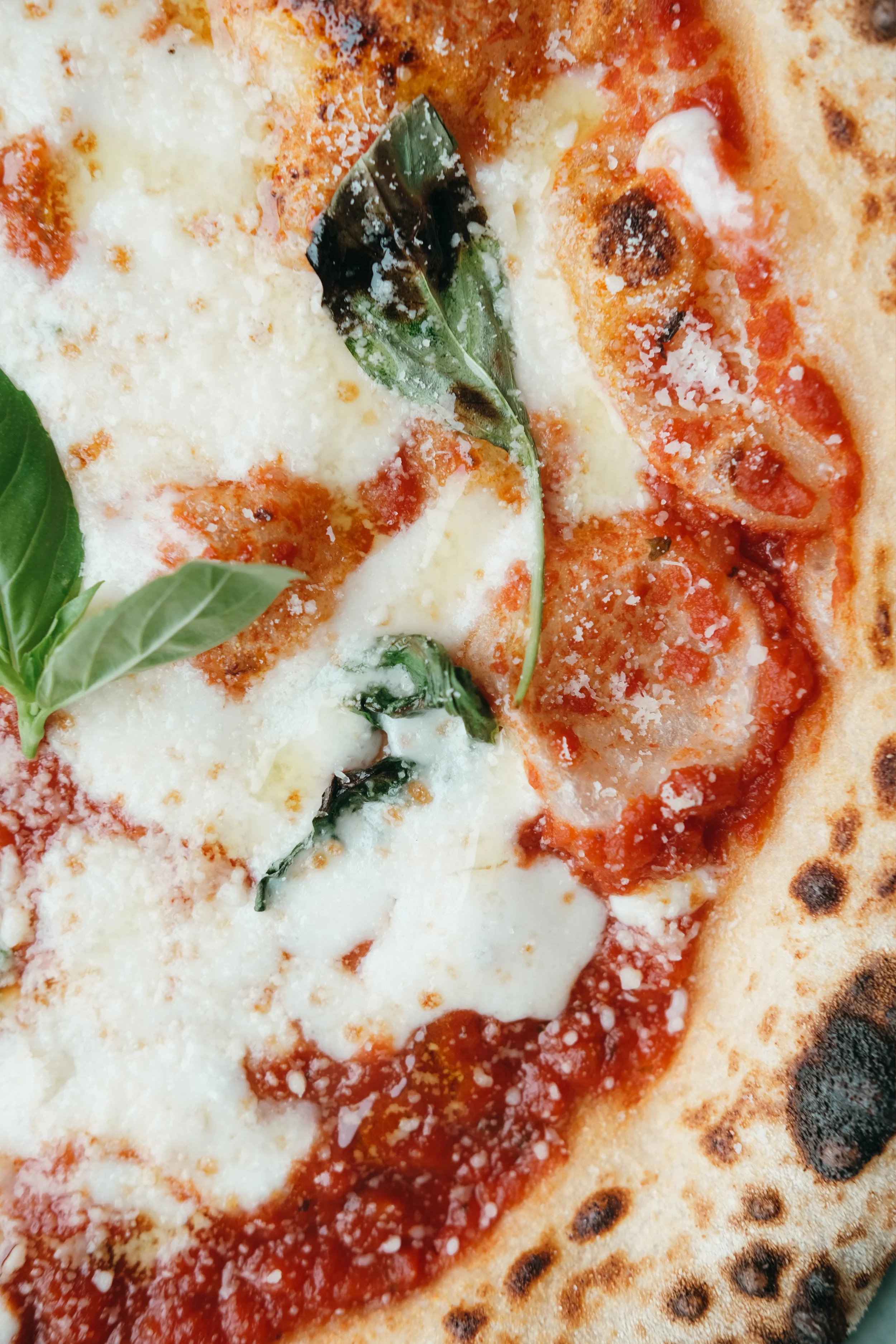 pizza margherita 3.jpg