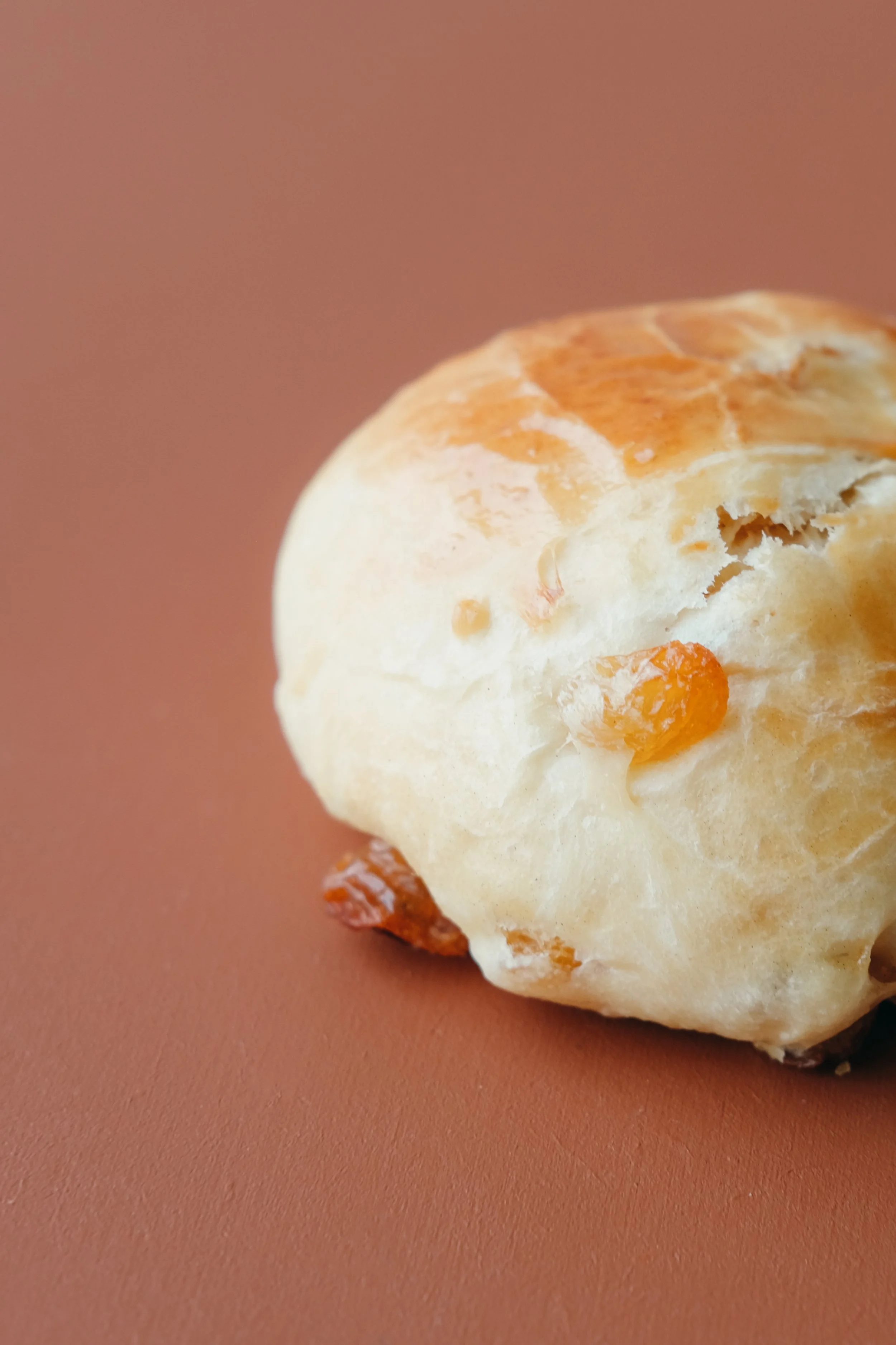 brioche raisin 3.jpg