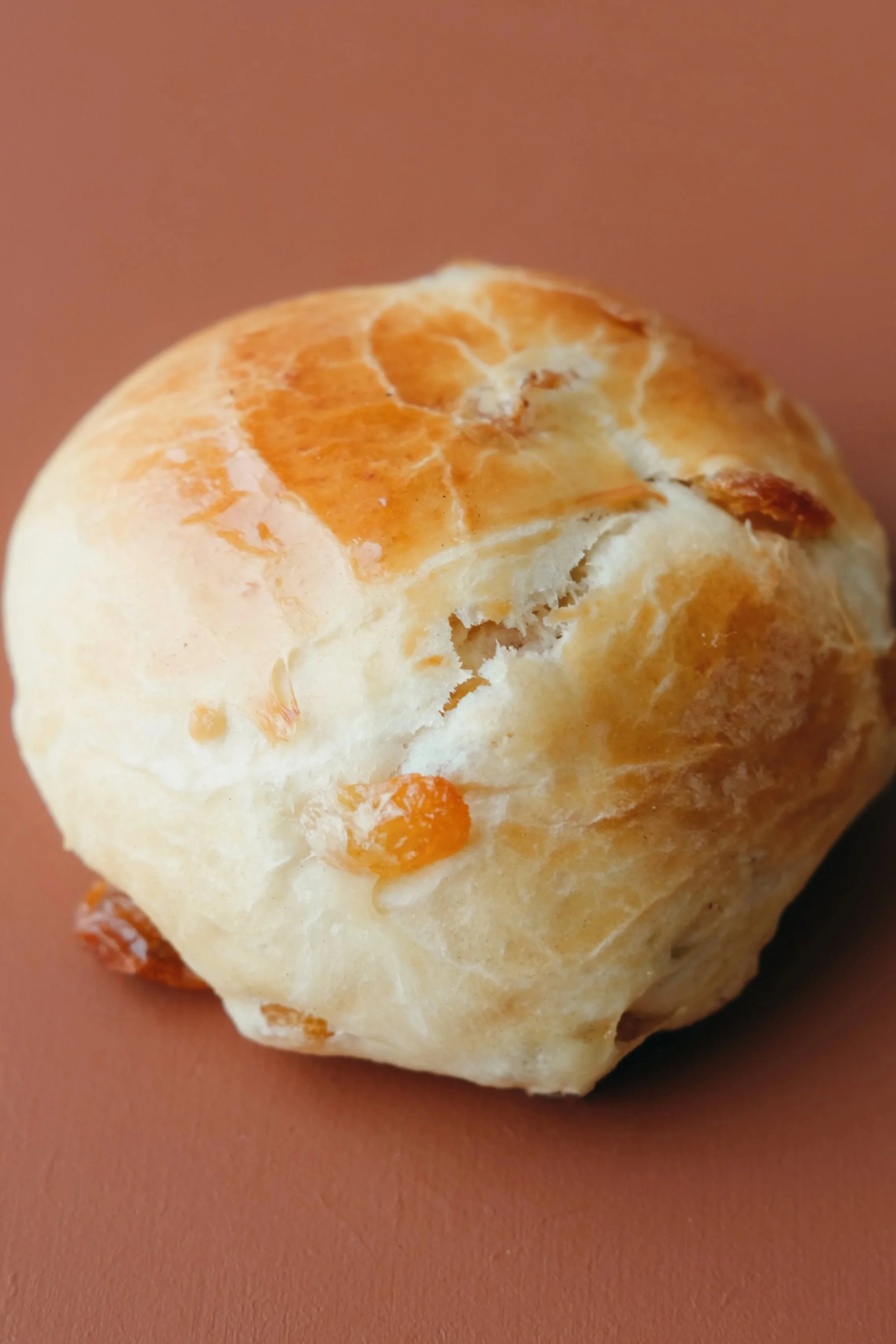 brioche+raisin+2.jpg