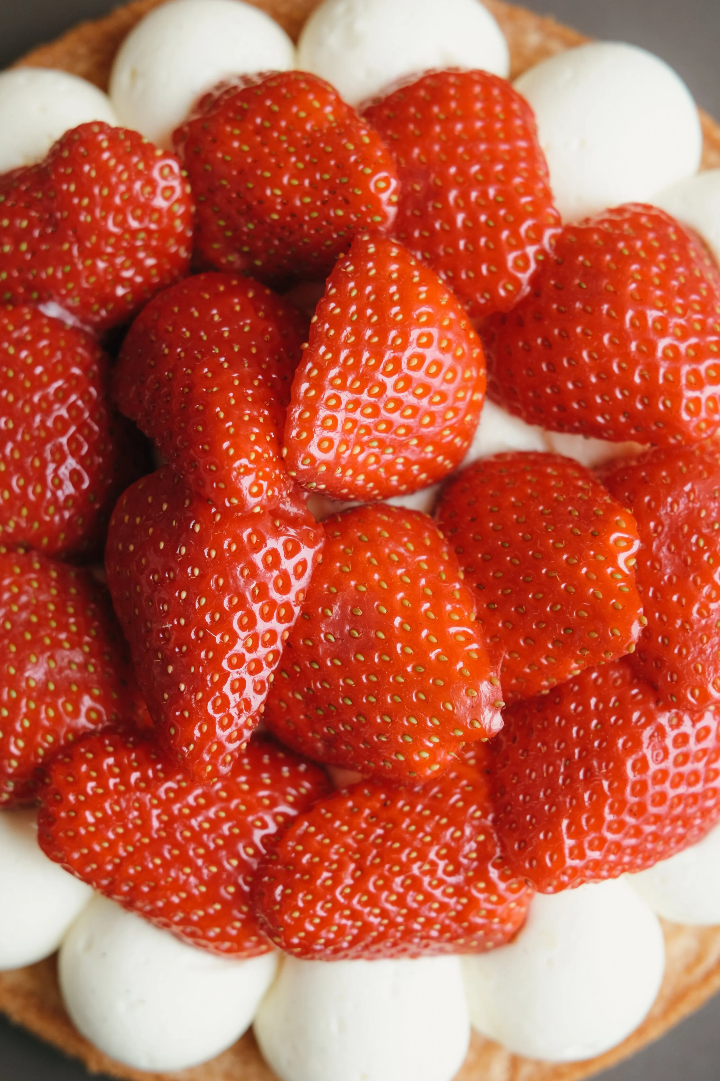 DSCF6396.jpg
