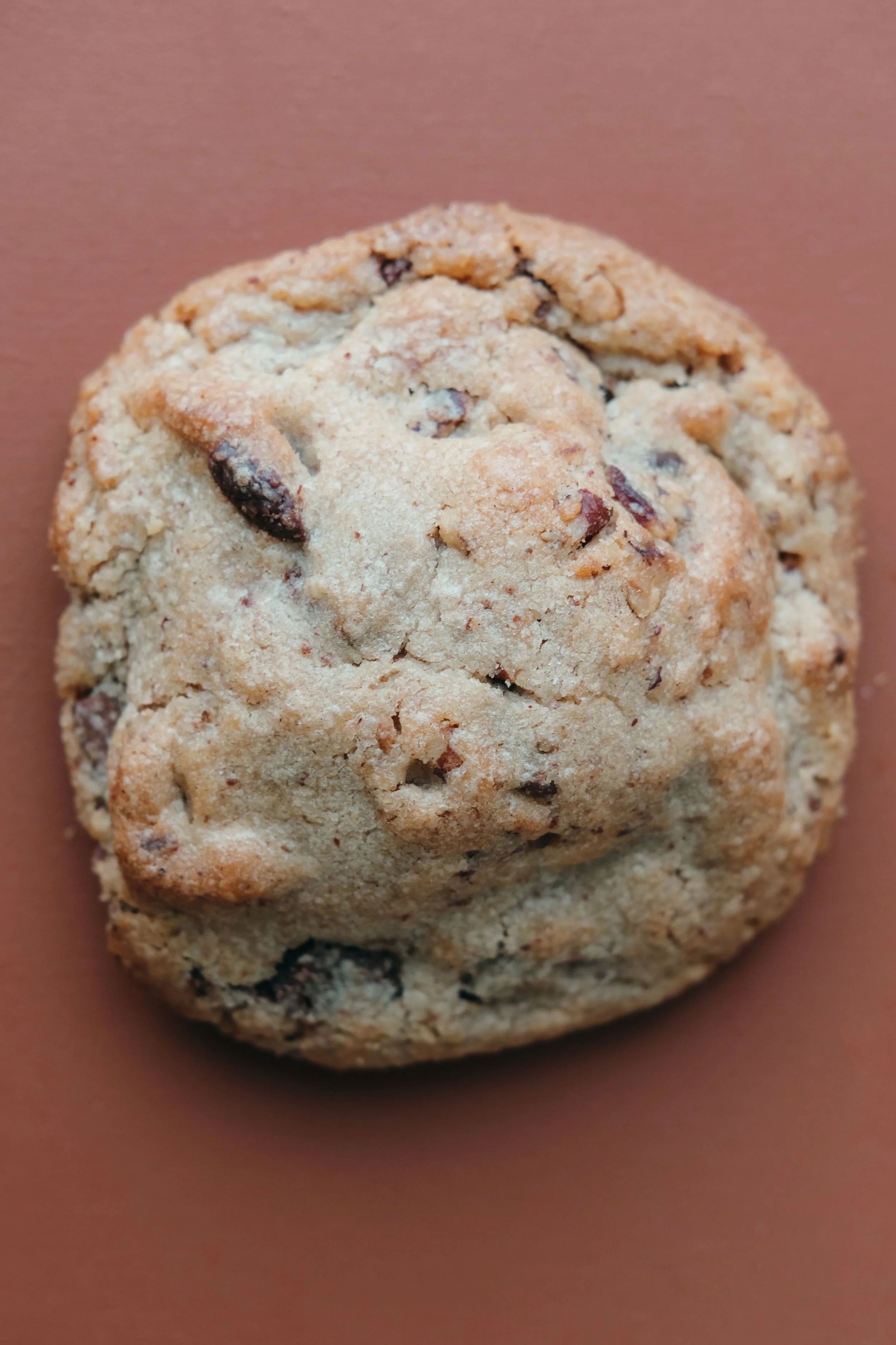 cookie pecan 2.jpg