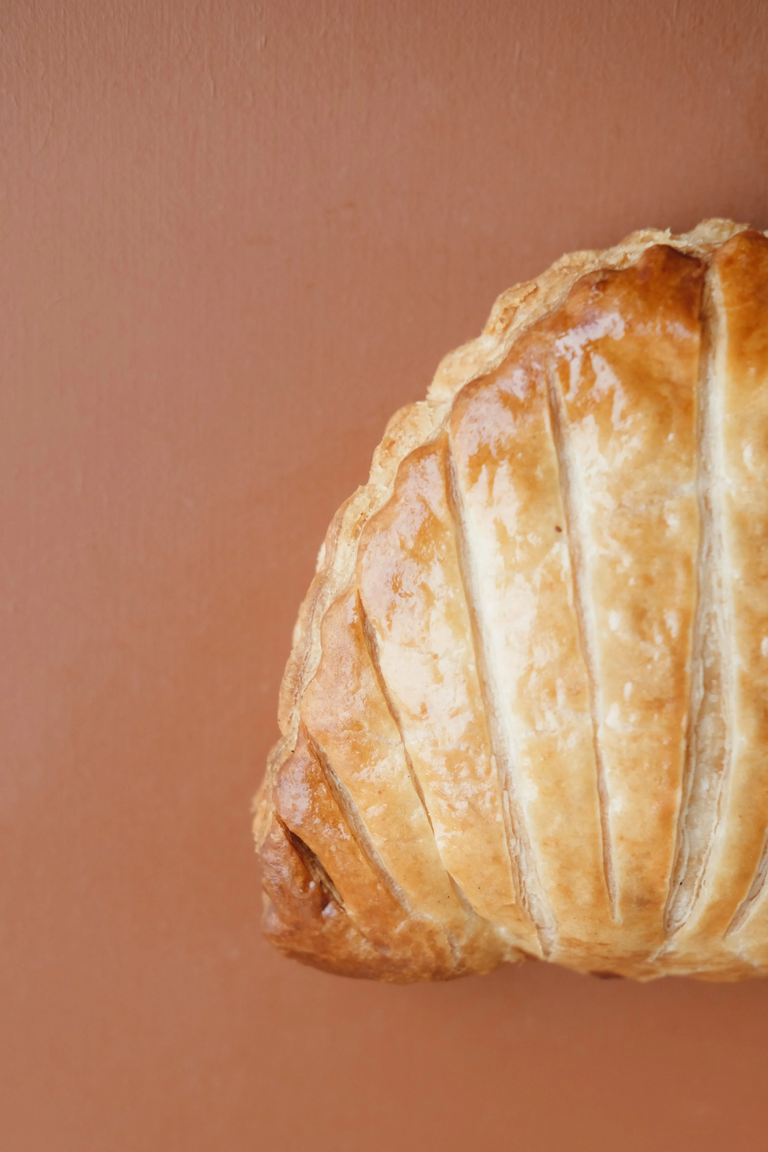 chaausson aux pommes 3.jpg