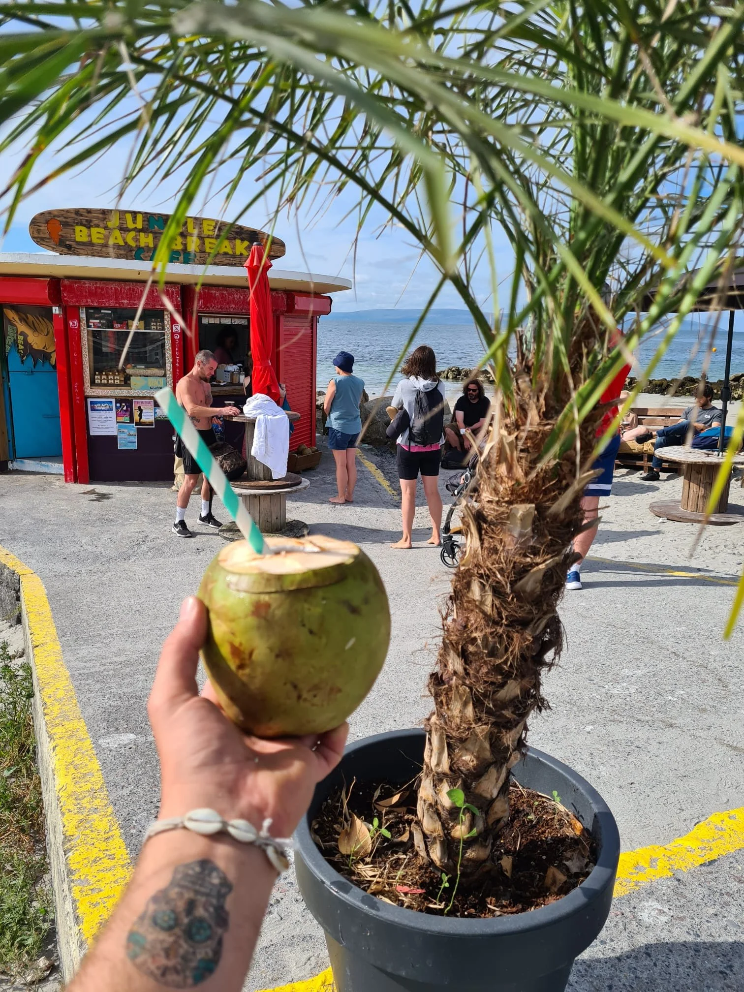 A person holding a green coconut with a straw in front of a potted palm tree at the beach, with a red beach shack and people relaxing by the water in the background.