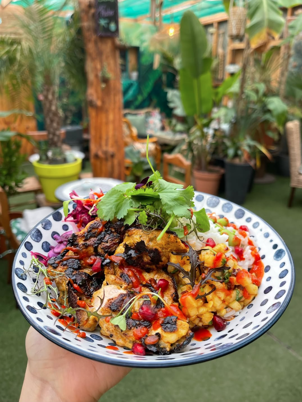 A colorful plate of food with grilled piece, garnished with herbs, surrounded by rice, vegetables, and pomegranate seeds, held outdoors in a lush garden.