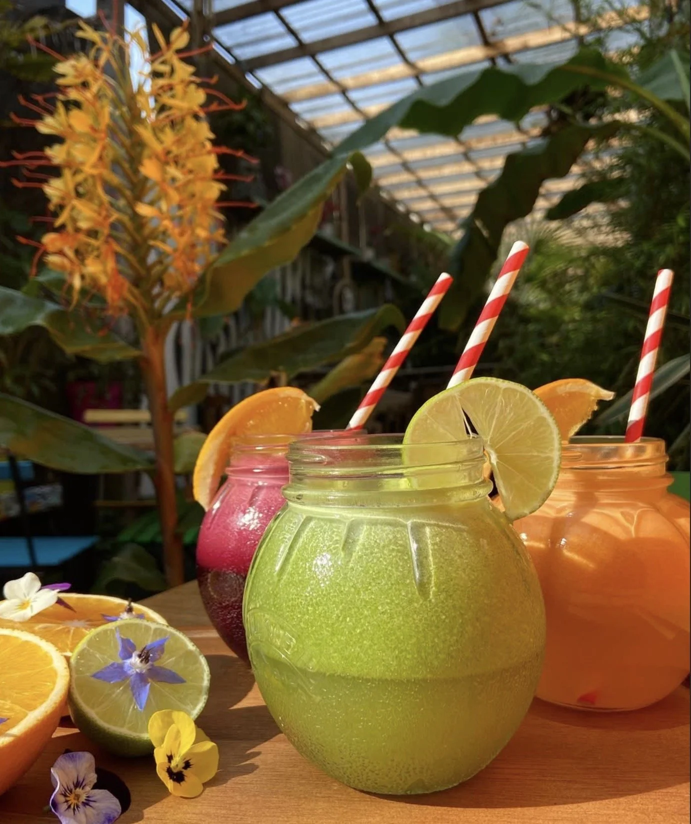 Three colorful glass jars containing drinks with lemon slices and striped straws, surrounded by orange and lemon slices and edible flowers, set outdoors with green plants and a metal roof structure in the background.