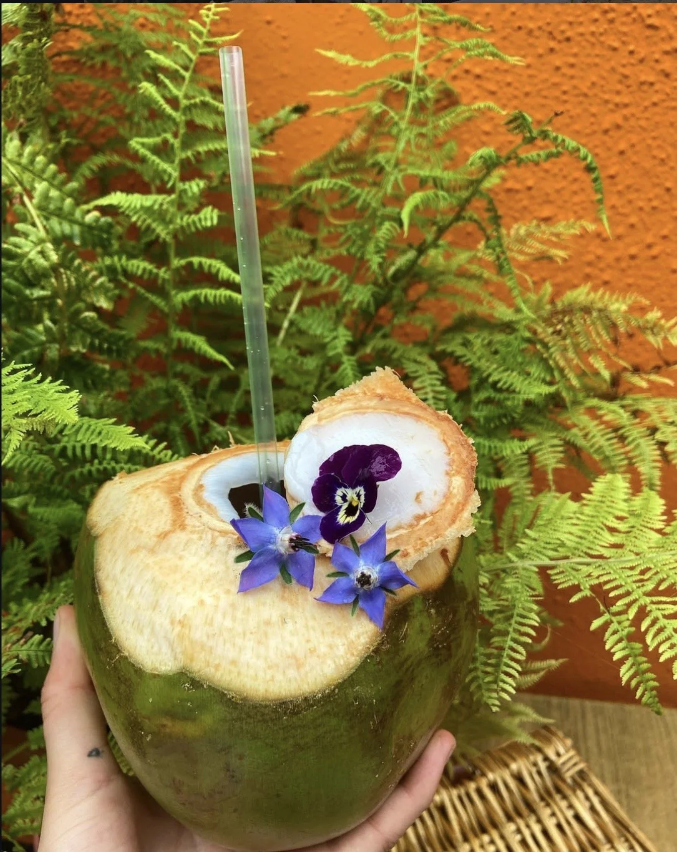 A coconut with a cut opening, decorated with purple and blue flowers, held in hand against a backdrop of green ferns and an orange wall.