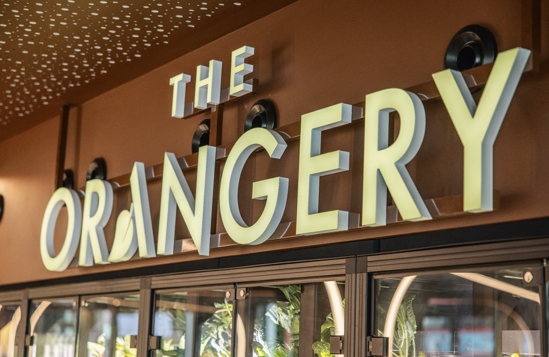 Screenshot 2026-01-22 at 13.33.18.png