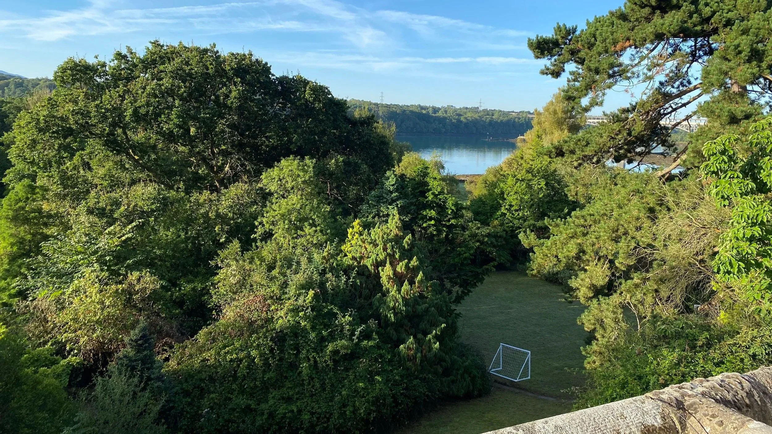 Scenic view of lush green trees overlooking a body of water with a small grassy area and a soccer goal in the foreground.