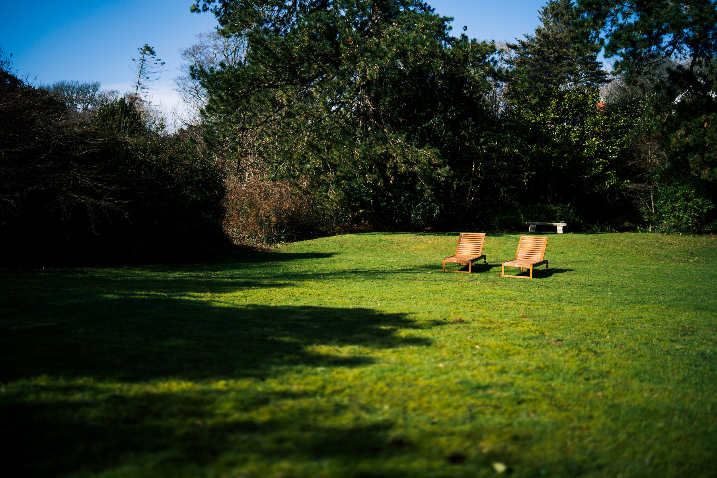 Two wooden lounge chairs on a grassy lawn with trees and bushes in the background, under a blue sky.