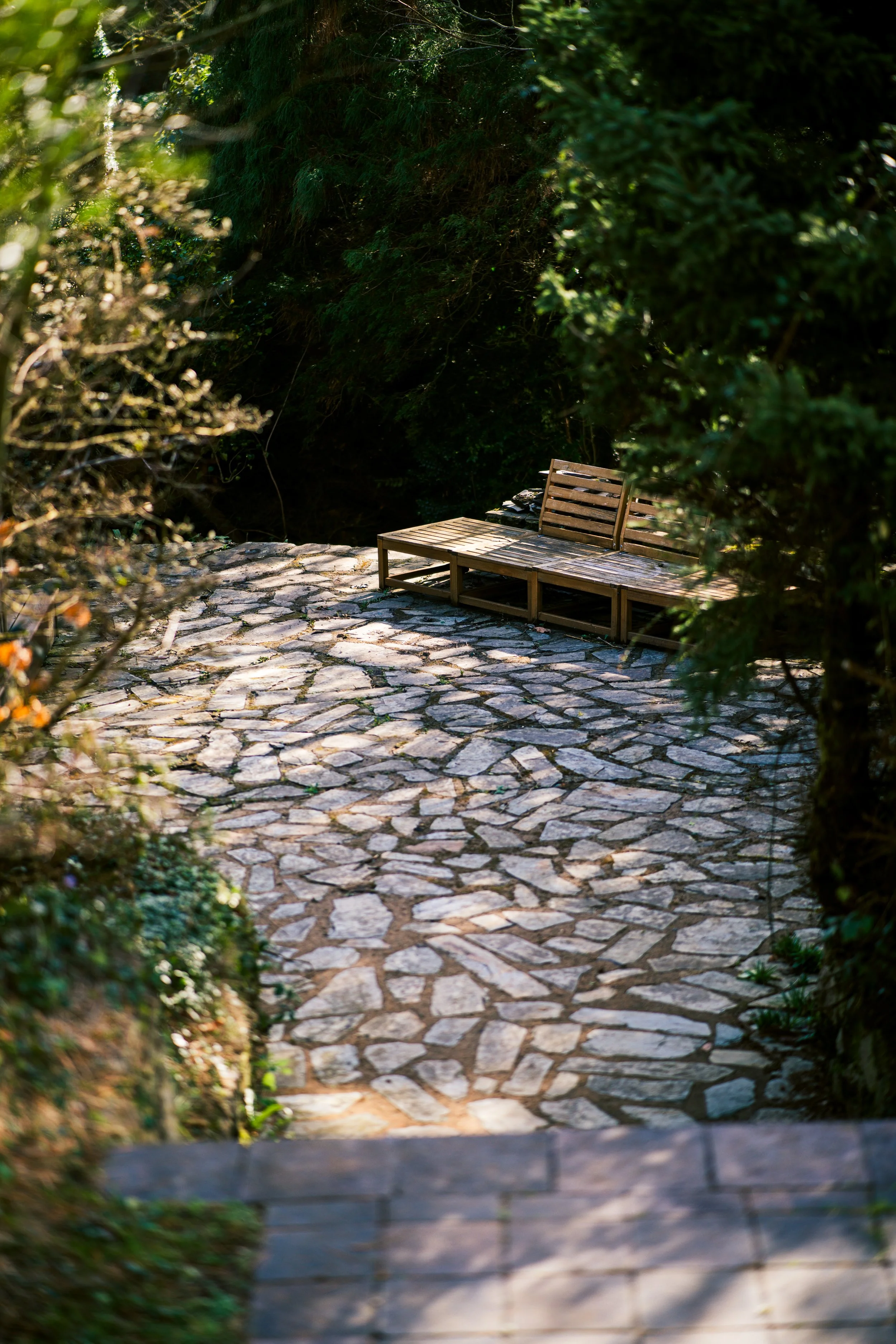 A wooden bench on a cobblestone pathway surrounded by greenery.