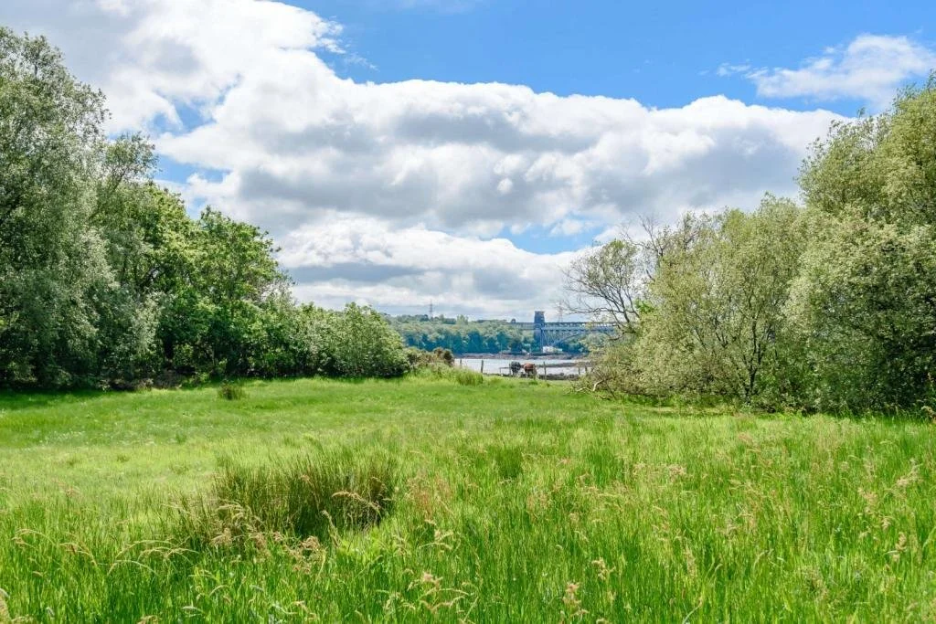 A lush green field with trees on either side, a river in the background, and a bridge crossing over the river under a partly cloudy sky.